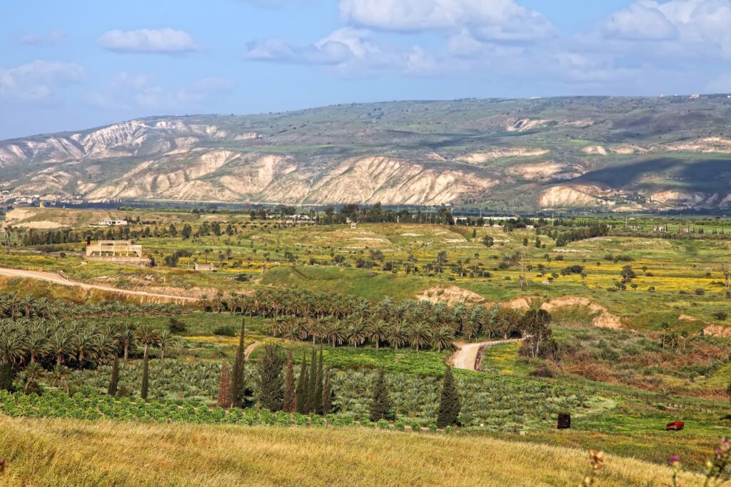 Panoramic view of the Jordan Valley with green wheat fields, arable land, and olive groves, Beit She'an