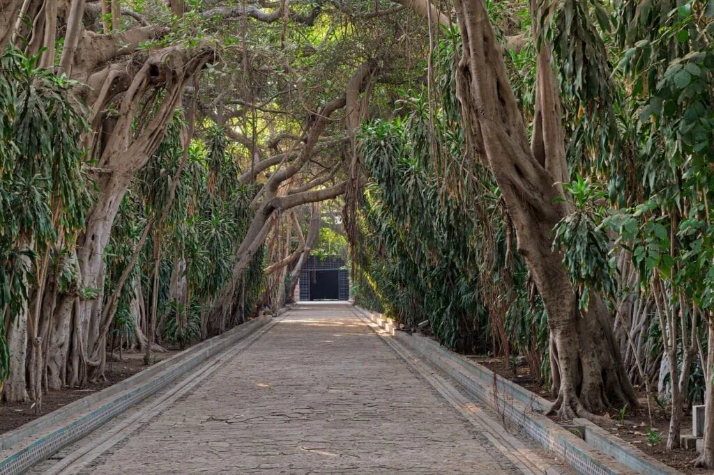 A tree-lined pathway leading to a closed wooden door within the public park of Manial Palace, Cairo