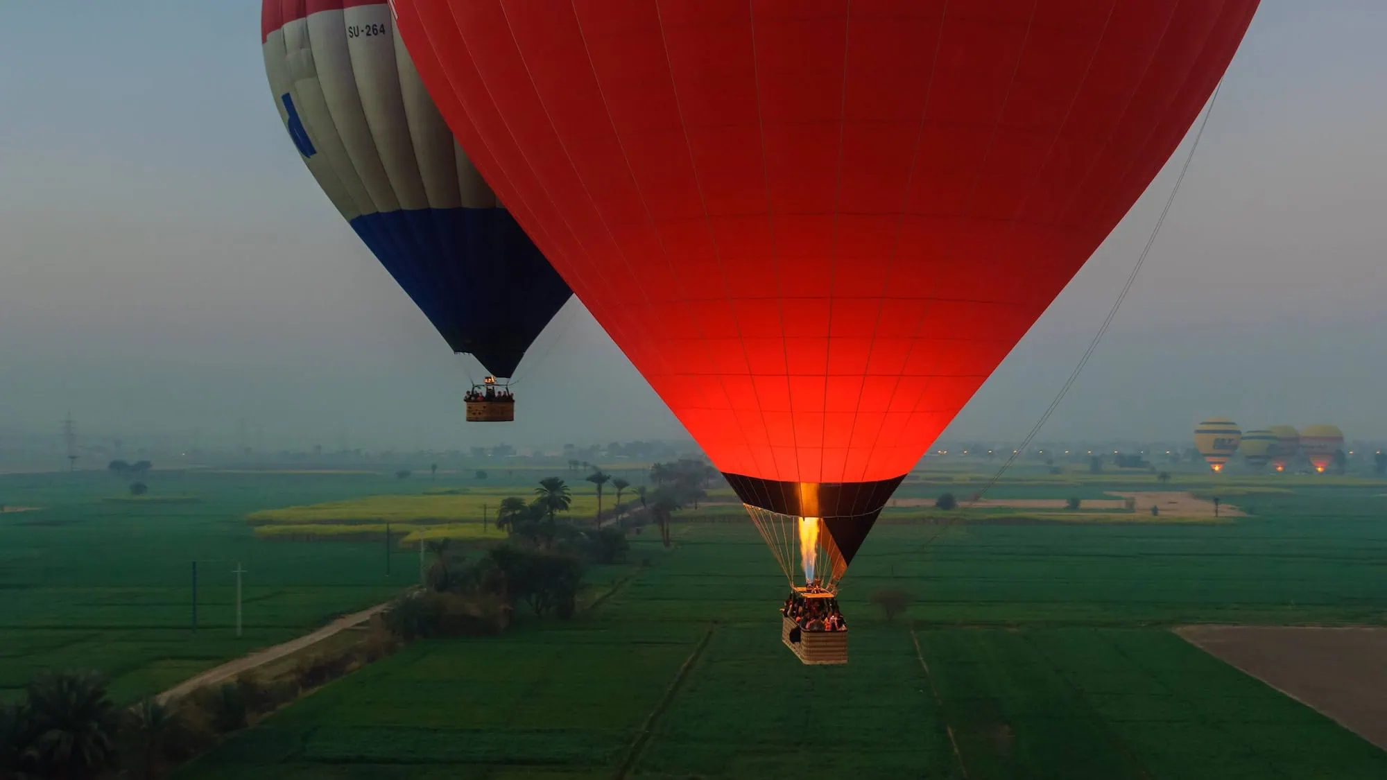 Hot air balloons floating over agricultural fields and palm trees in Egypt
