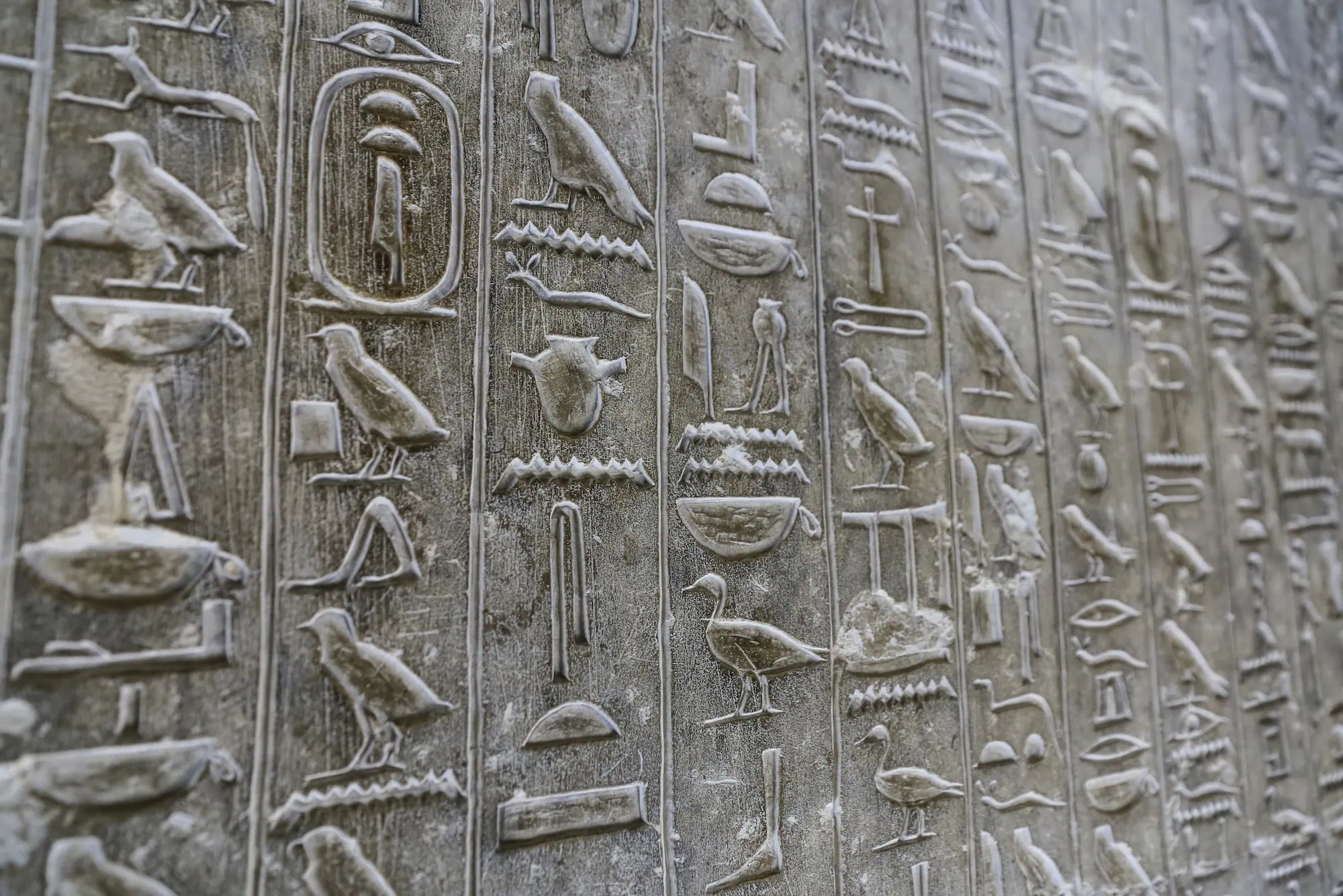 Ancient Egyptian hieroglyphics featuring birds and religious symbols on stone wall