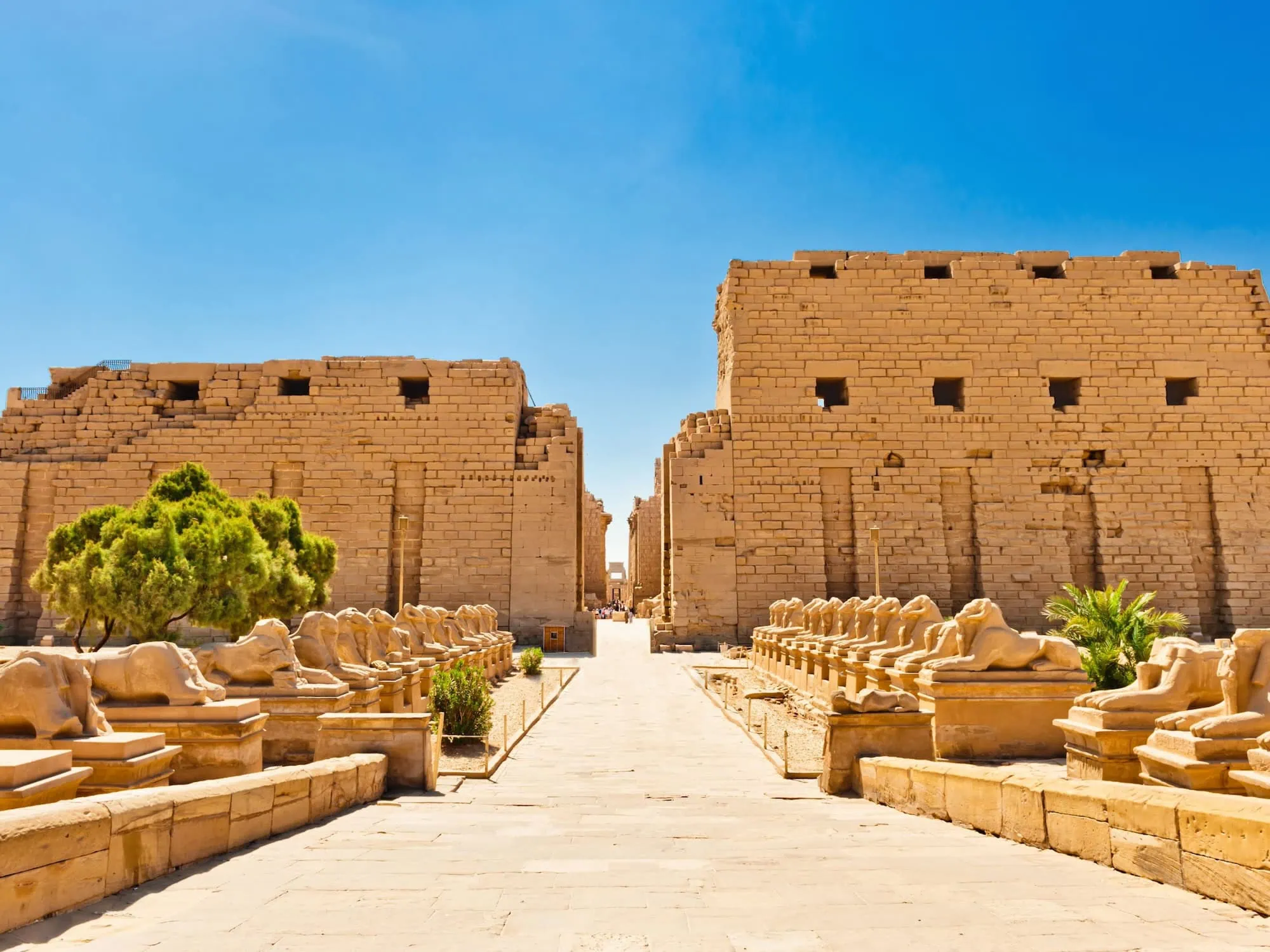 Egypt Tours from Germany