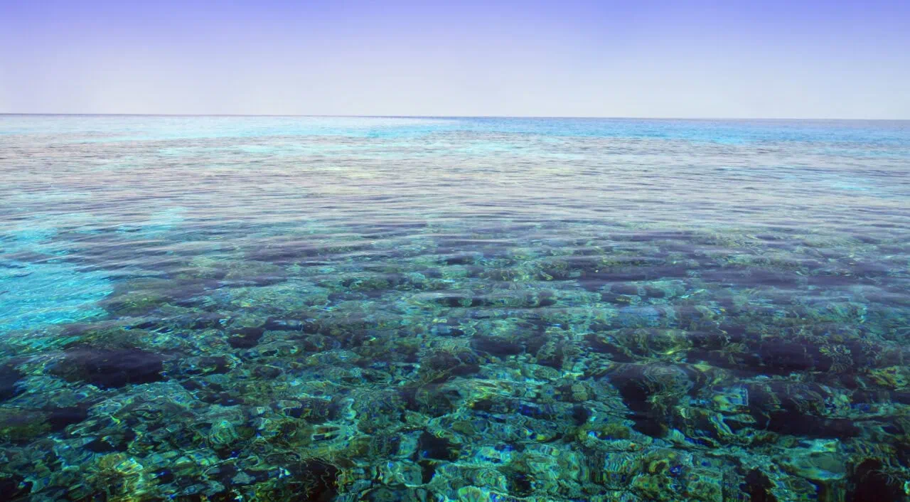 Red Sea Aqaba Gulf Egypt. Coral Reef.