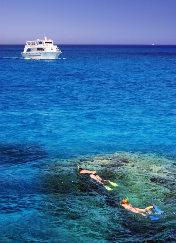 Snorkeling the Crystal-Clear Waters of the Red Sea