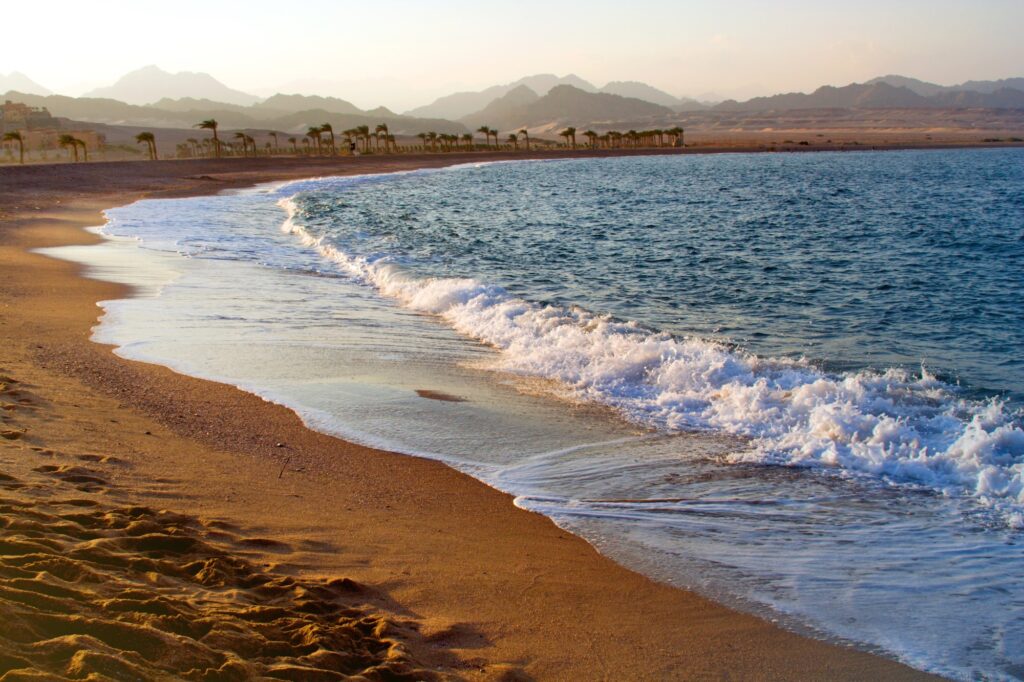 Shoreline with shallow clear water along Nabq Bay on the Red Sea coast, Sharm el-Sheikh