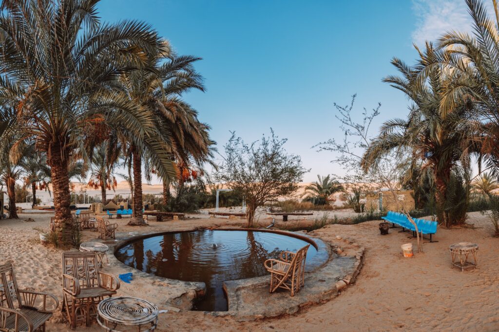 Natural hot spring set within the serene landscape of Siwa Oasis