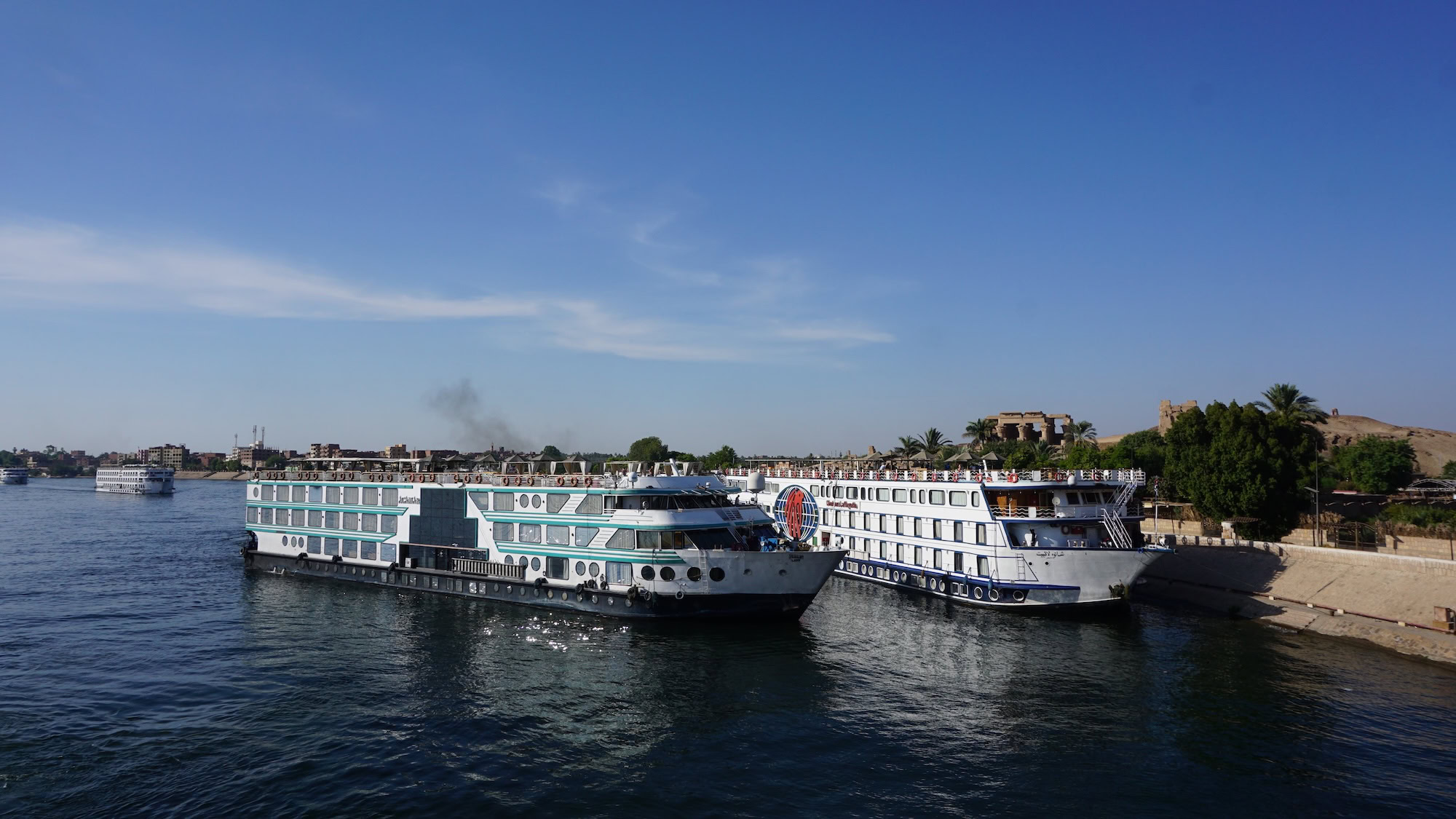 Cruise ships docked along the Nile River in Luxor with palm trees