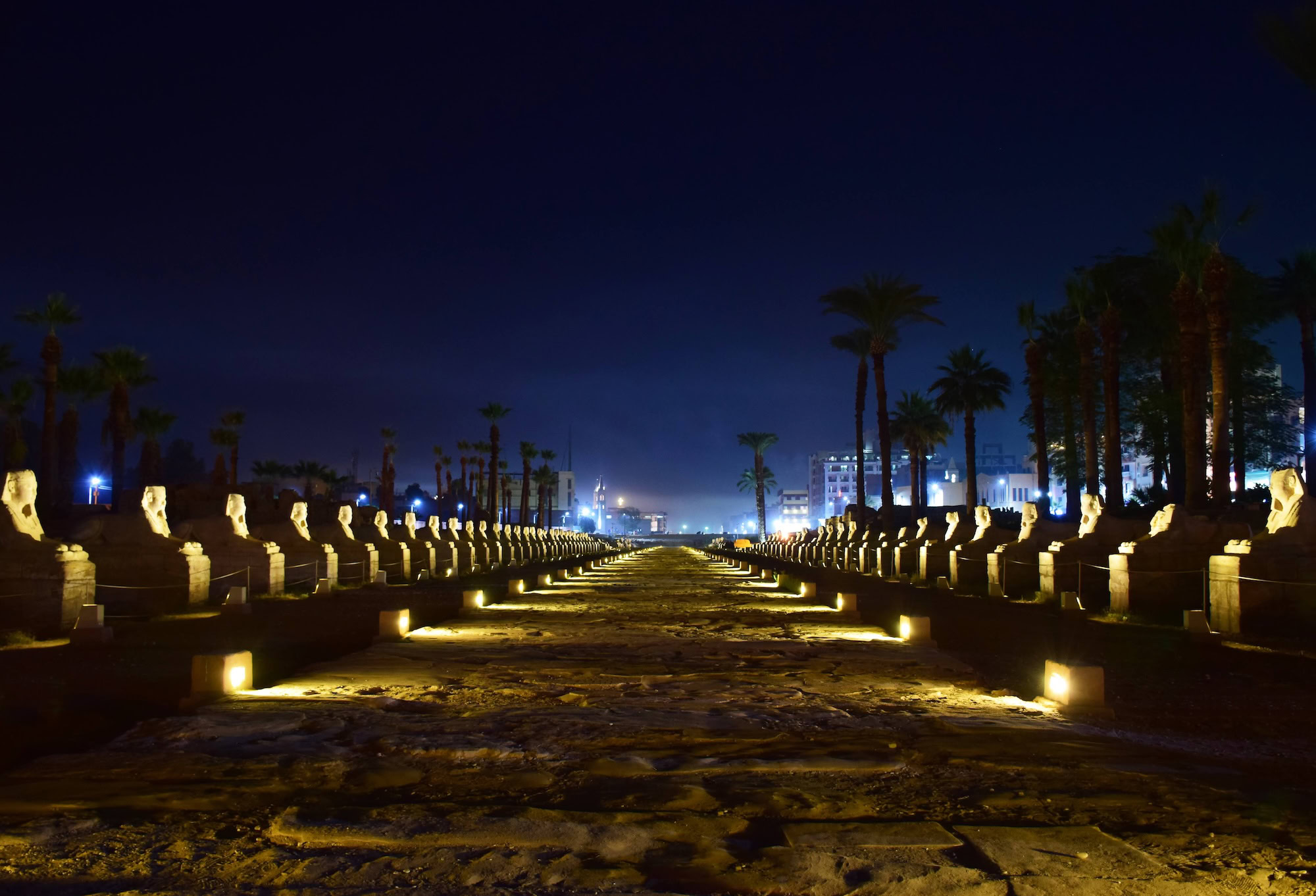 Avenue of Sphinxes at night showing illuminated sphinx statues along the ancient processional pathway