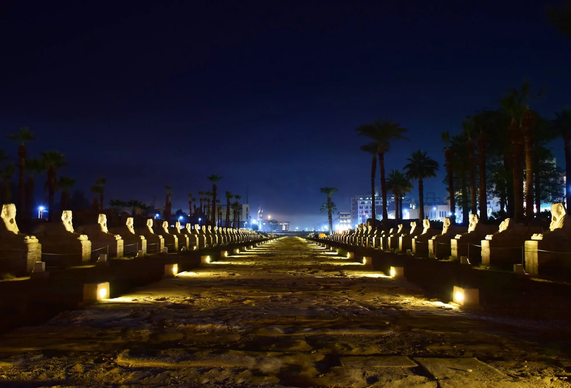 Avenue of Sphinxes at night showing illuminated sphinx statues along the ancient processional pathway