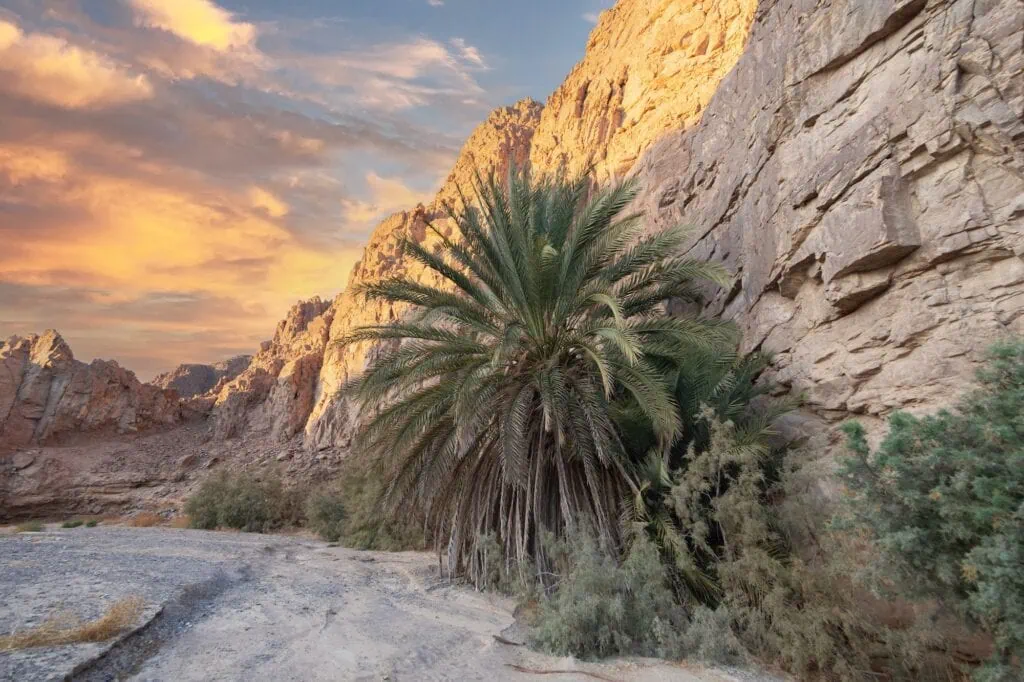 Rocky desert landscape with layered sandstone formations at Wadi Meleha, Red Sea
