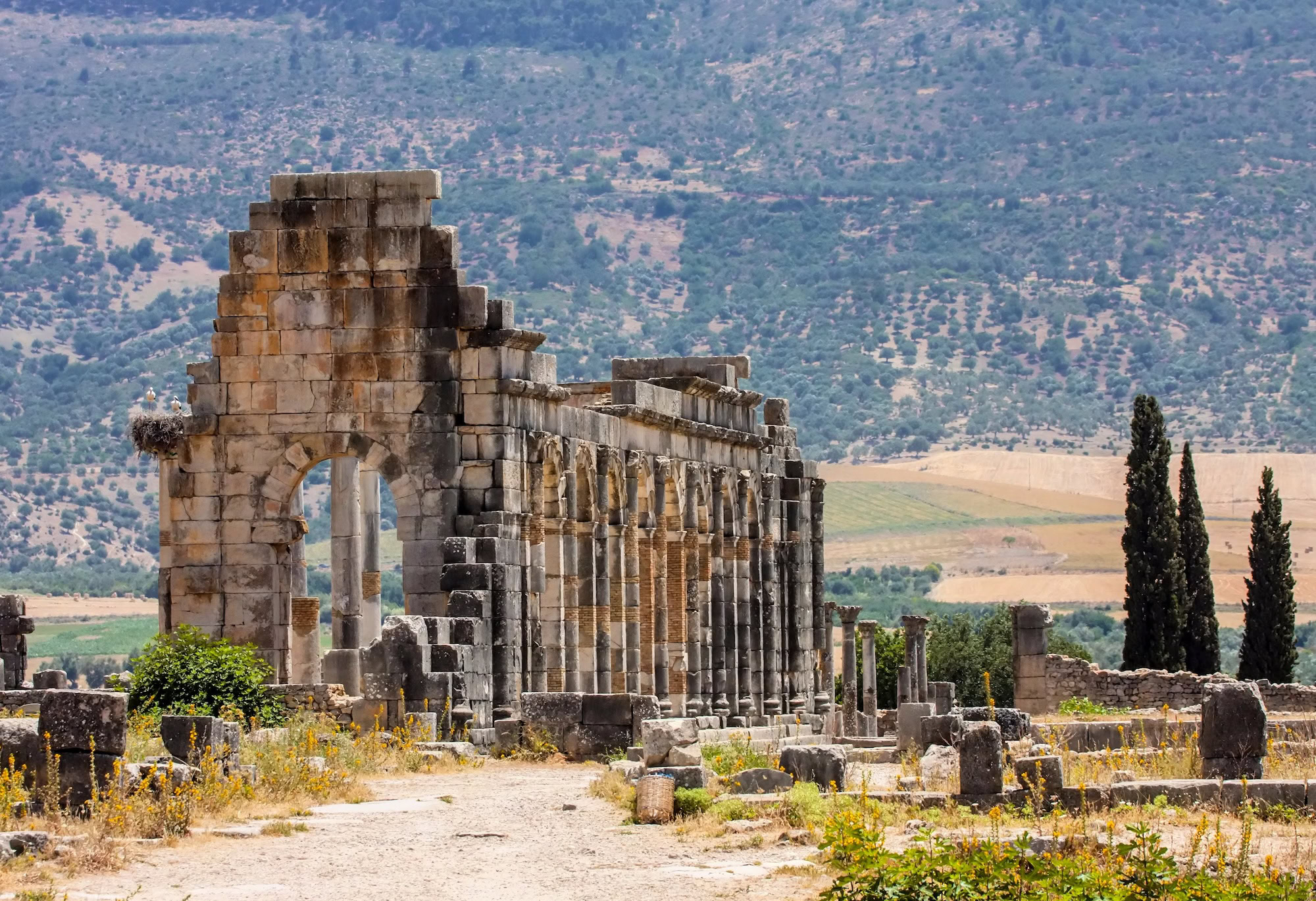 The ruins of Volubilis, Morocco