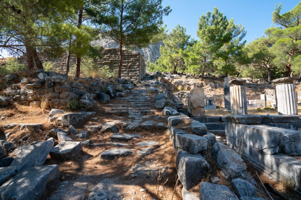 Ruins Of Priene
