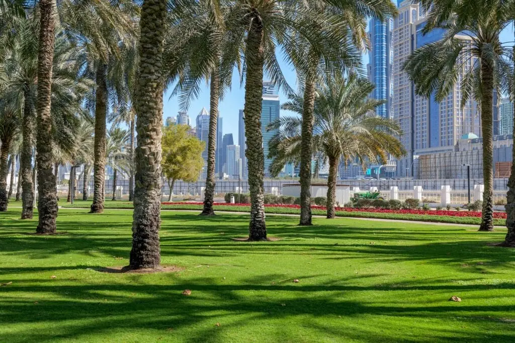 Safa Park landscaped lawns, shaded trees, walking paths with surrounding skyscraper views, Dubai