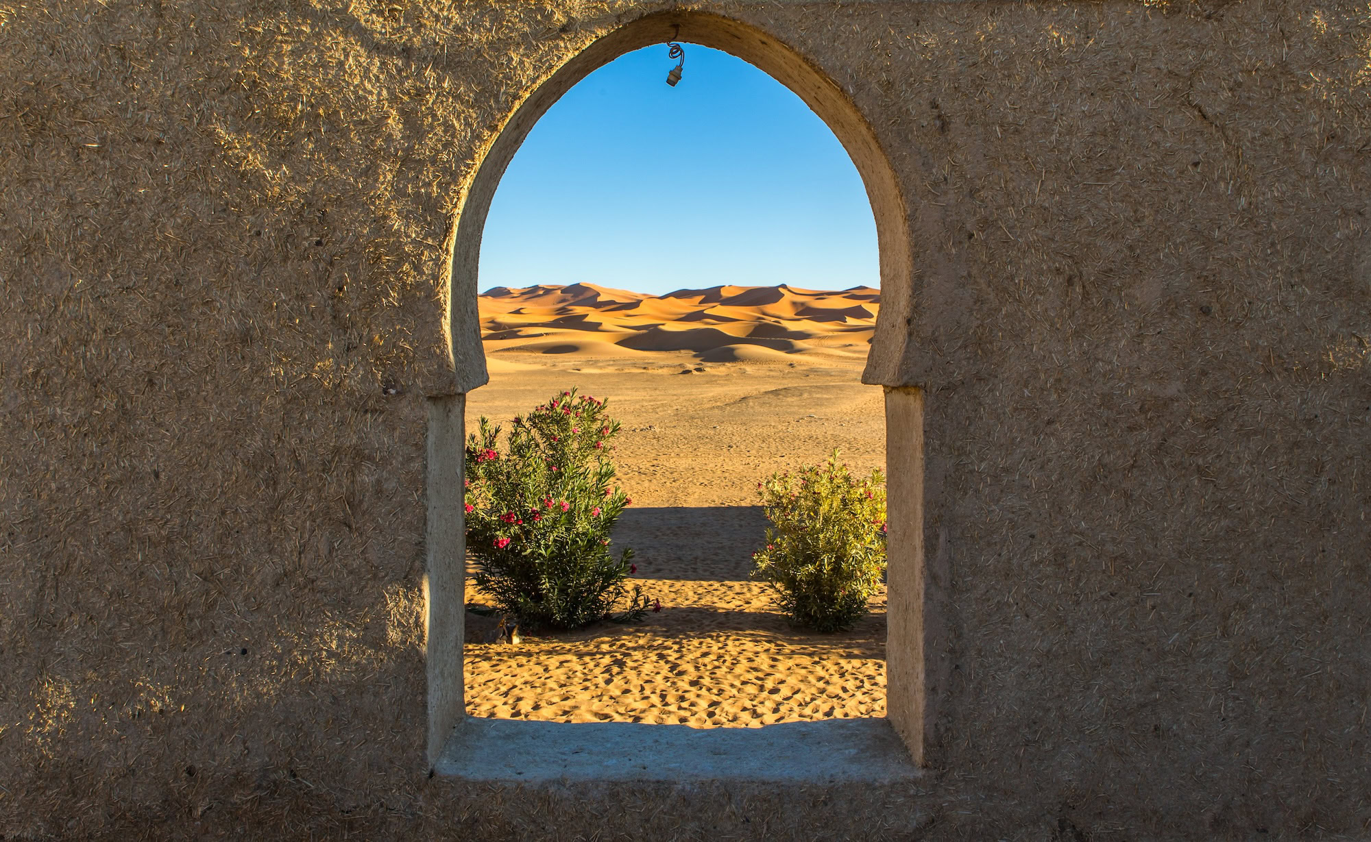 Africa and Middle East Tours