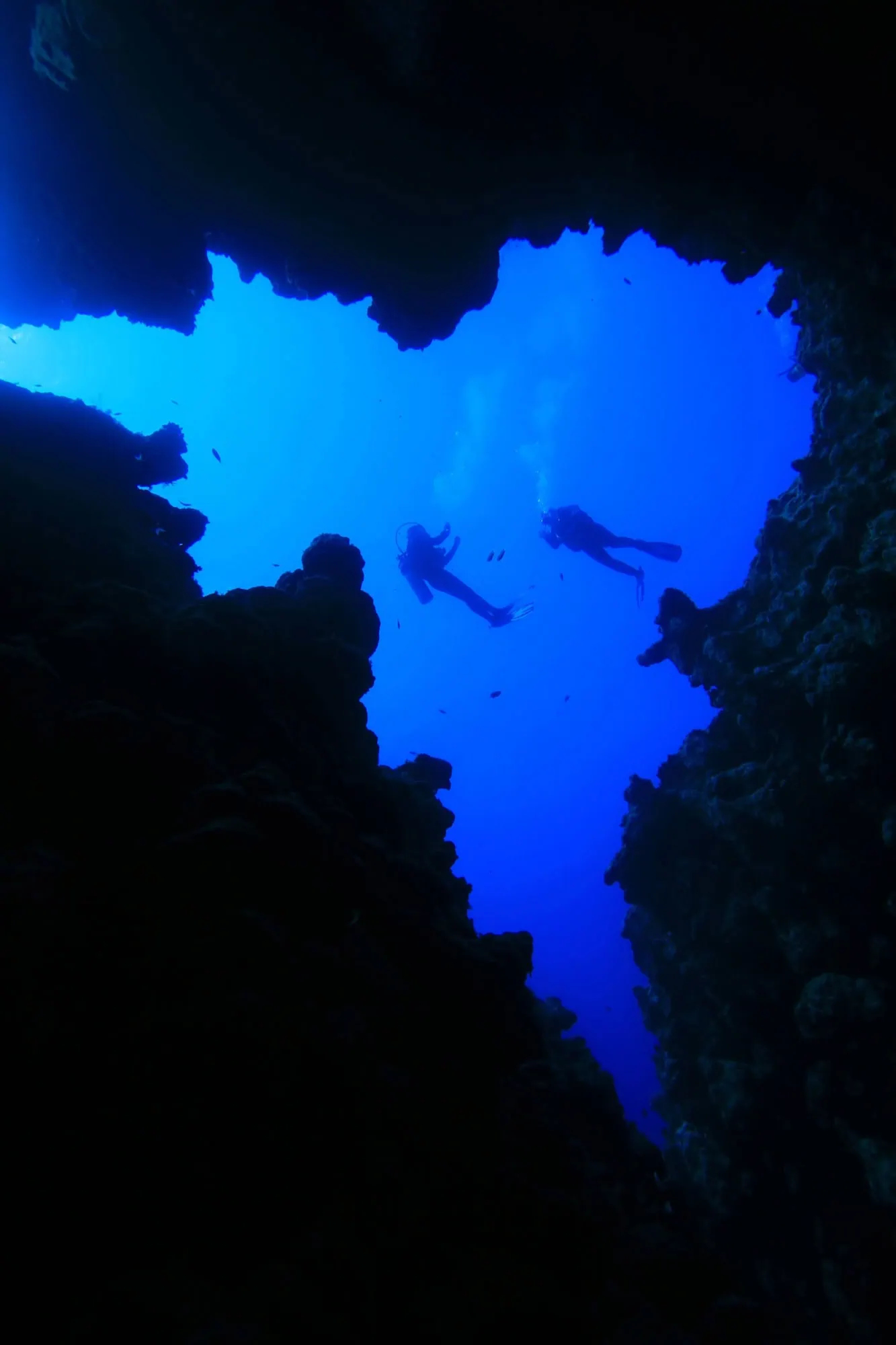 Scuba divers exploring underwater canyon in Dahab, Egypt