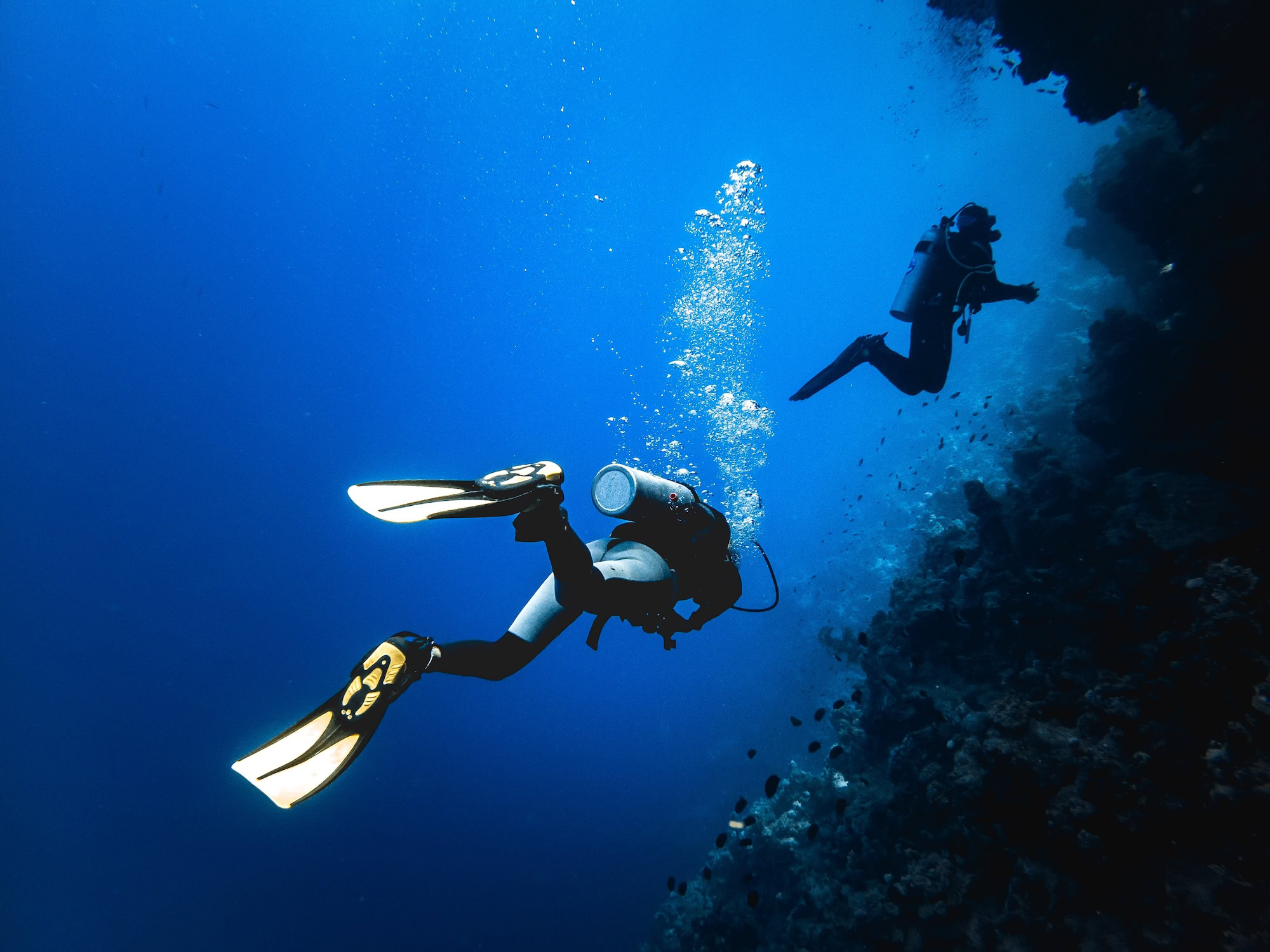Scuba divers exploring underwater reef with diving equipment at Brothers Islands dive site