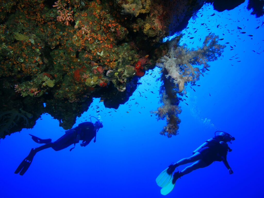 Scuba Diving in the Red Sea