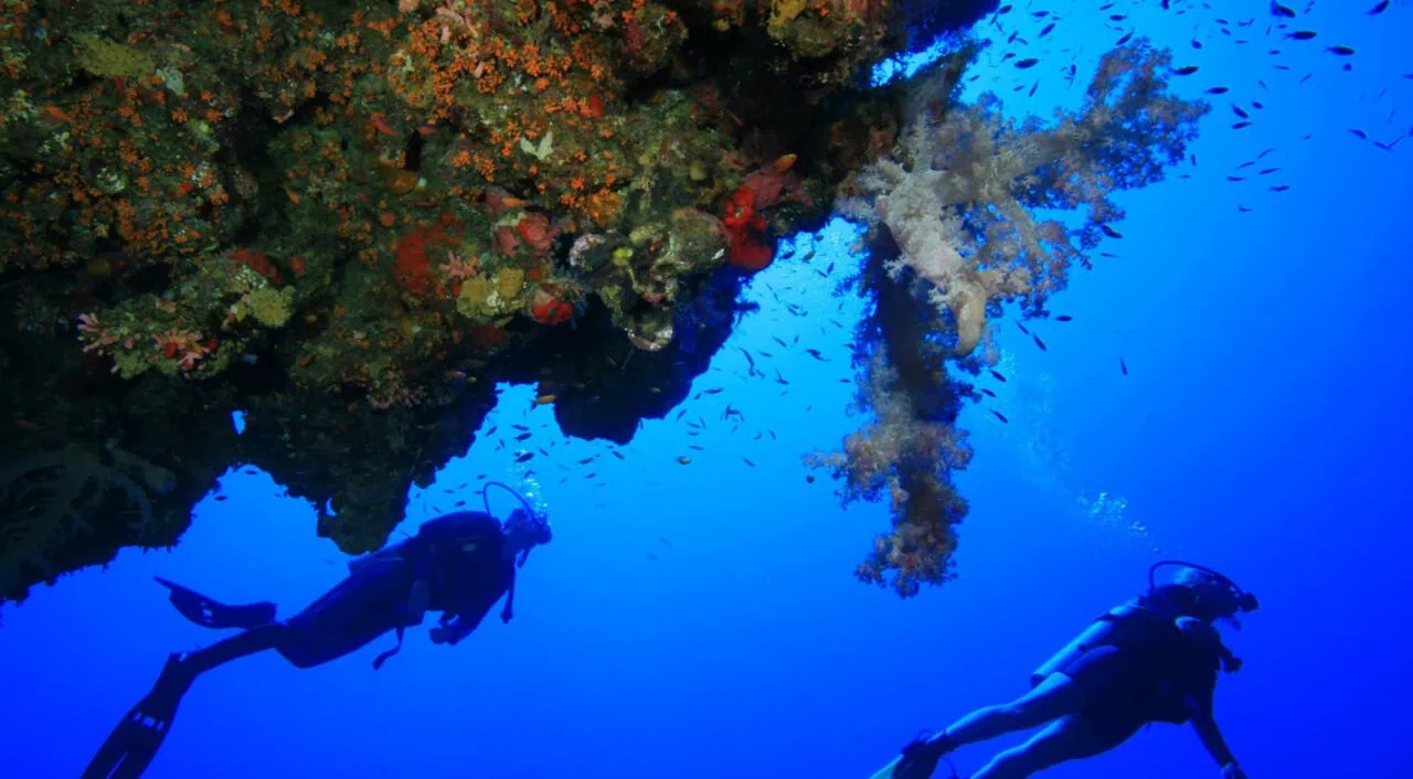 Scuba Diving In The Red Sea