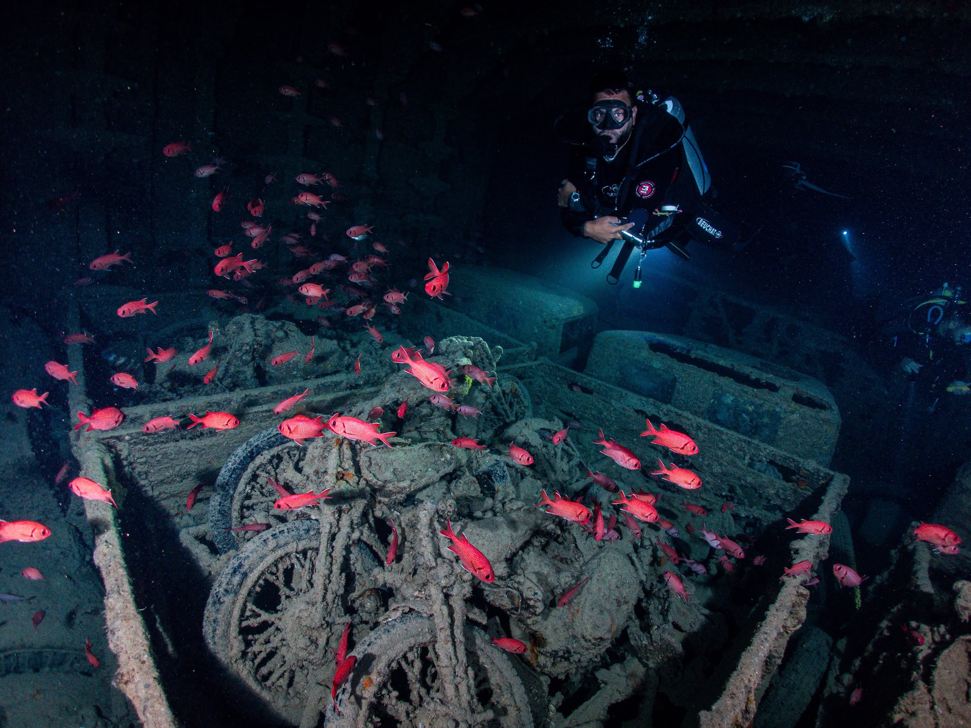 Diver exploring the SS Thistlegorm shipwreck surrounded by soldierfish in the Red Sea
