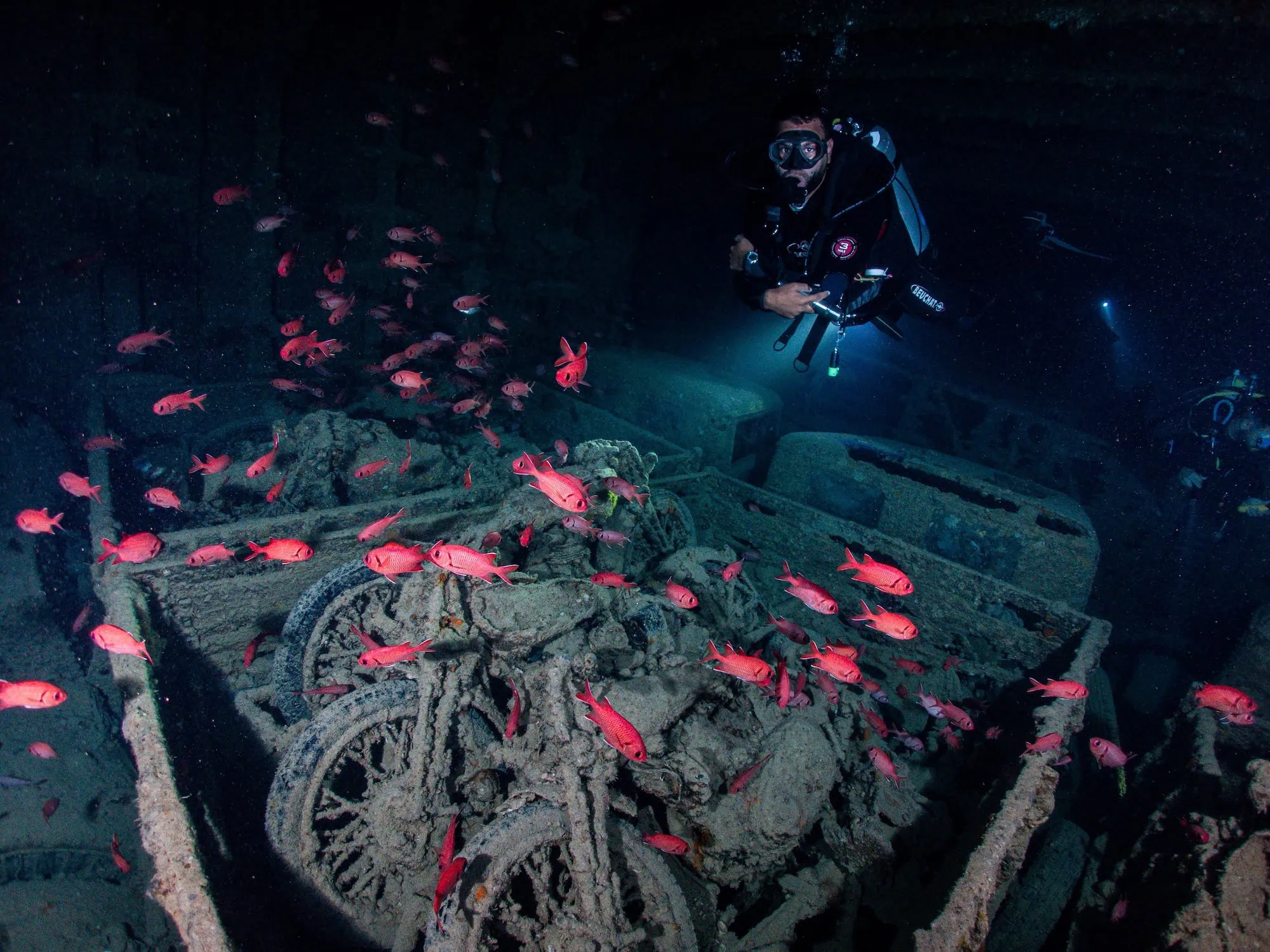 Diver exploring the SS Thistlegorm shipwreck surrounded by soldierfish in the Red Sea