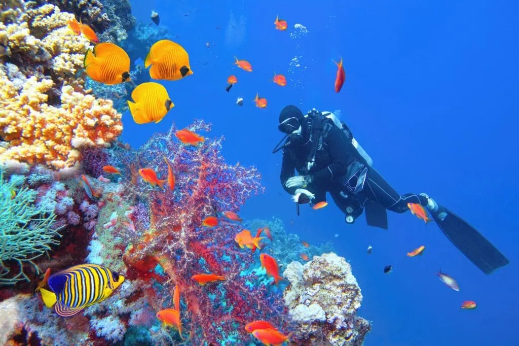 Scuba diver exploring vibrant coral reef with colorful fish