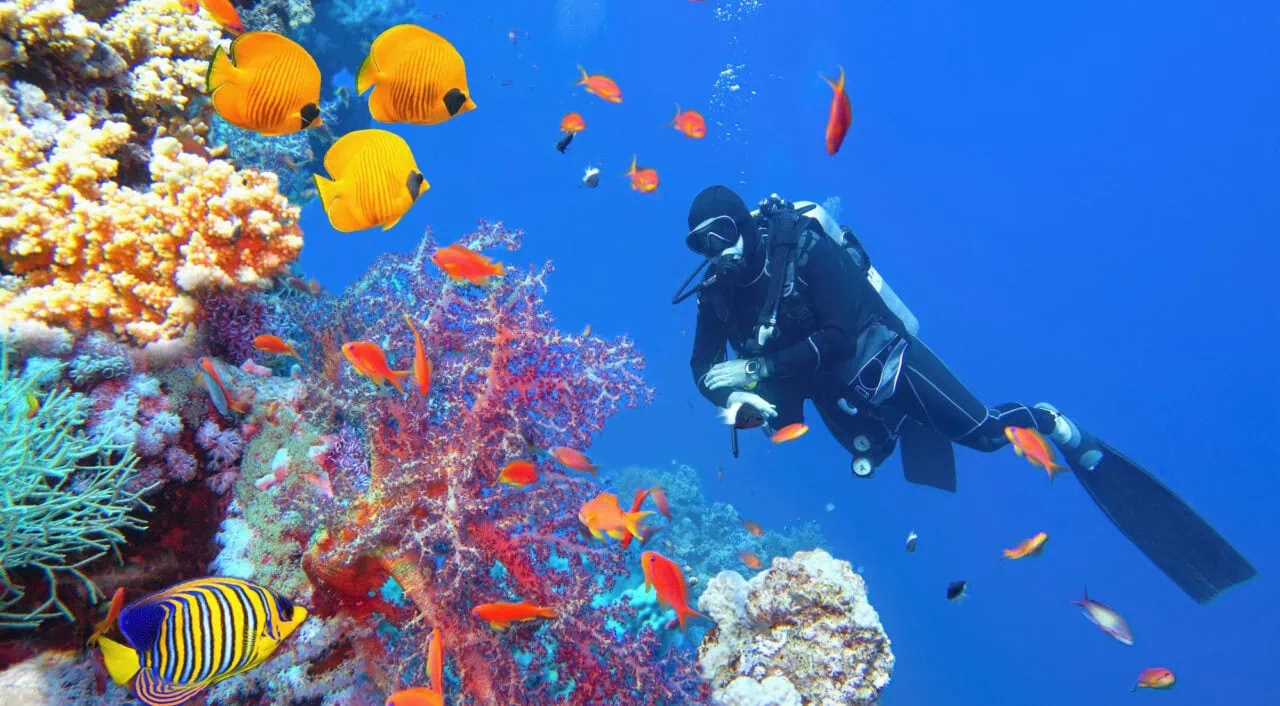 Scuba diver near beautiful coral reef surrounded with shoal of colorful coral fish and butterfly fish