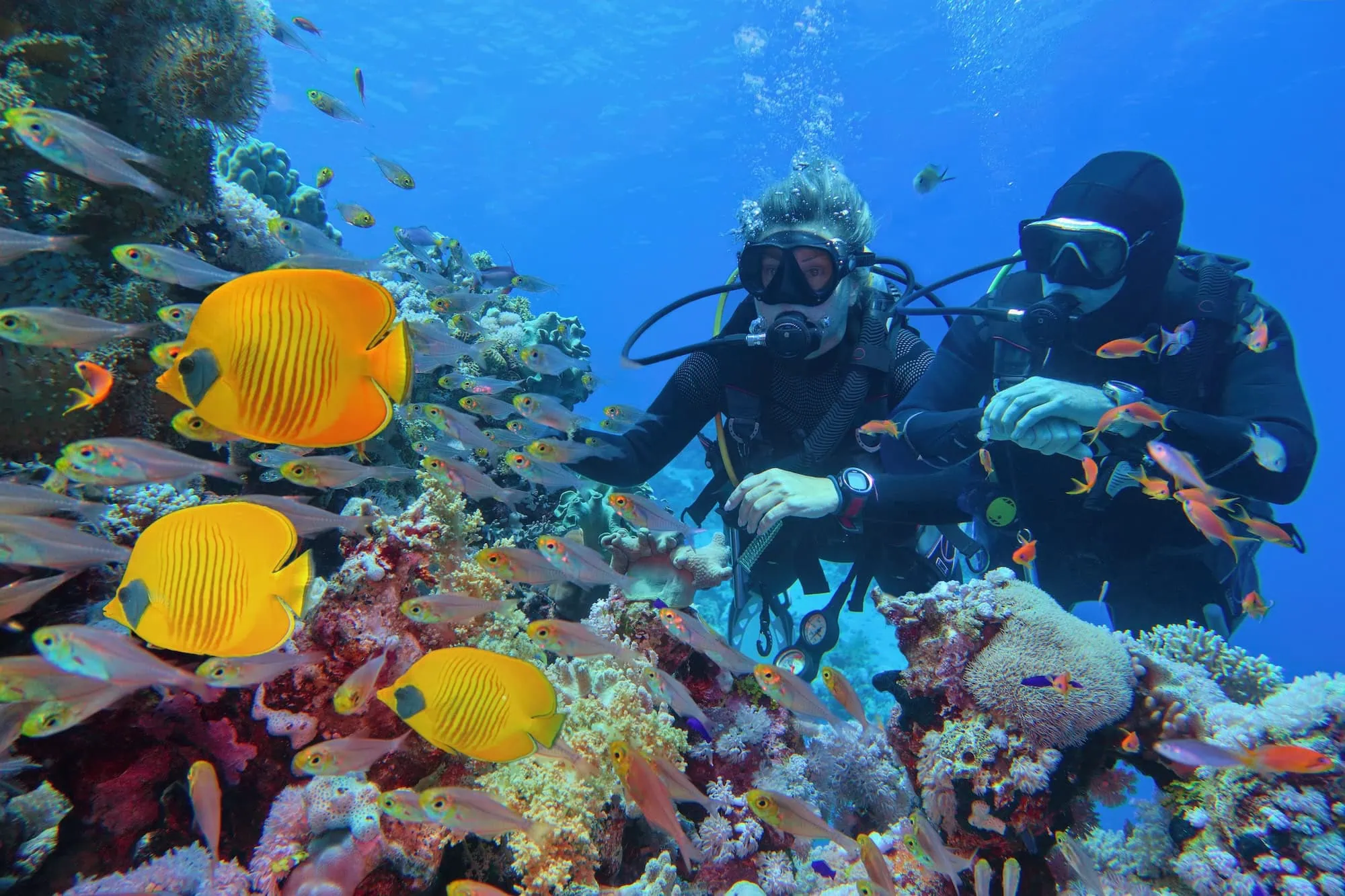 Scuba divers exploring a vibrant coral reef with tropical fish, demonstrating sustainable diving practices