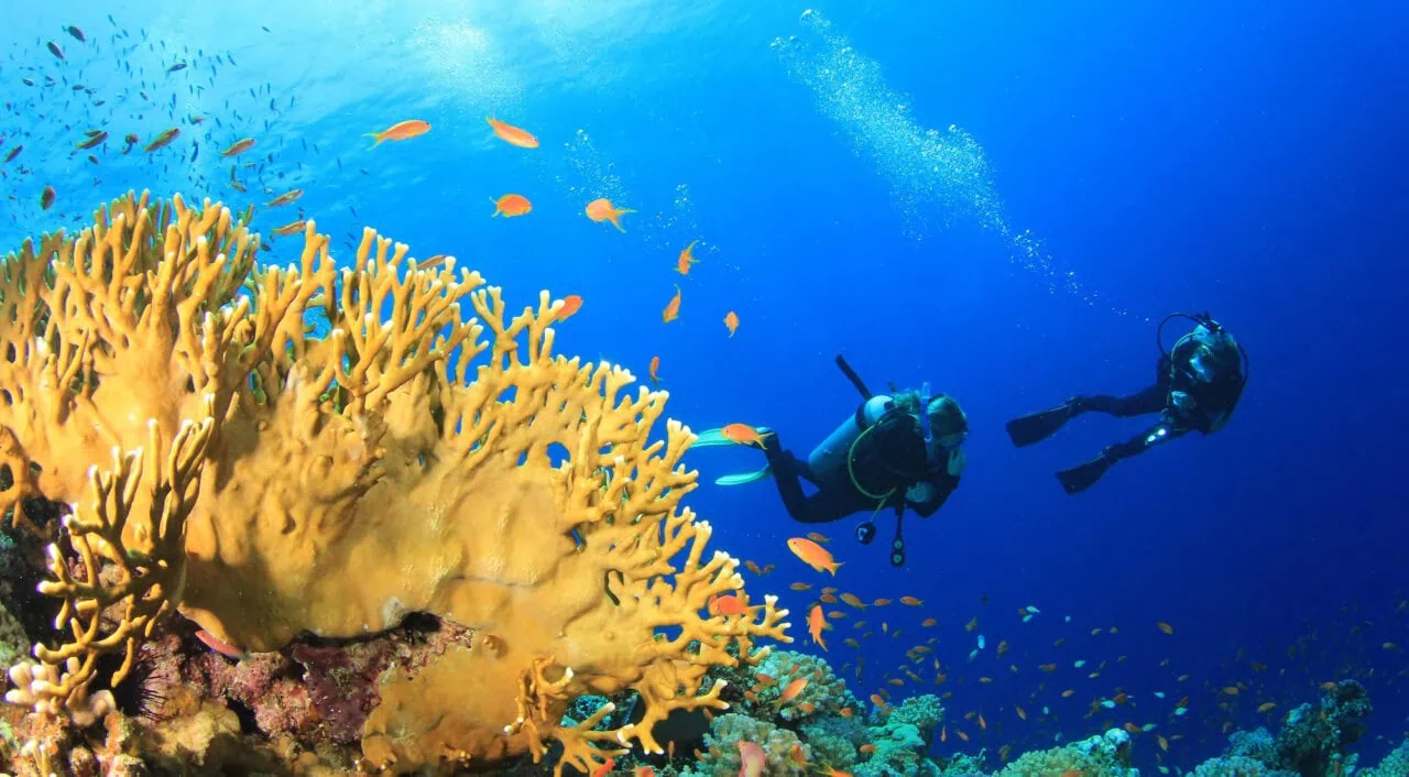 Subacquei, Mar Rosso, Sharm