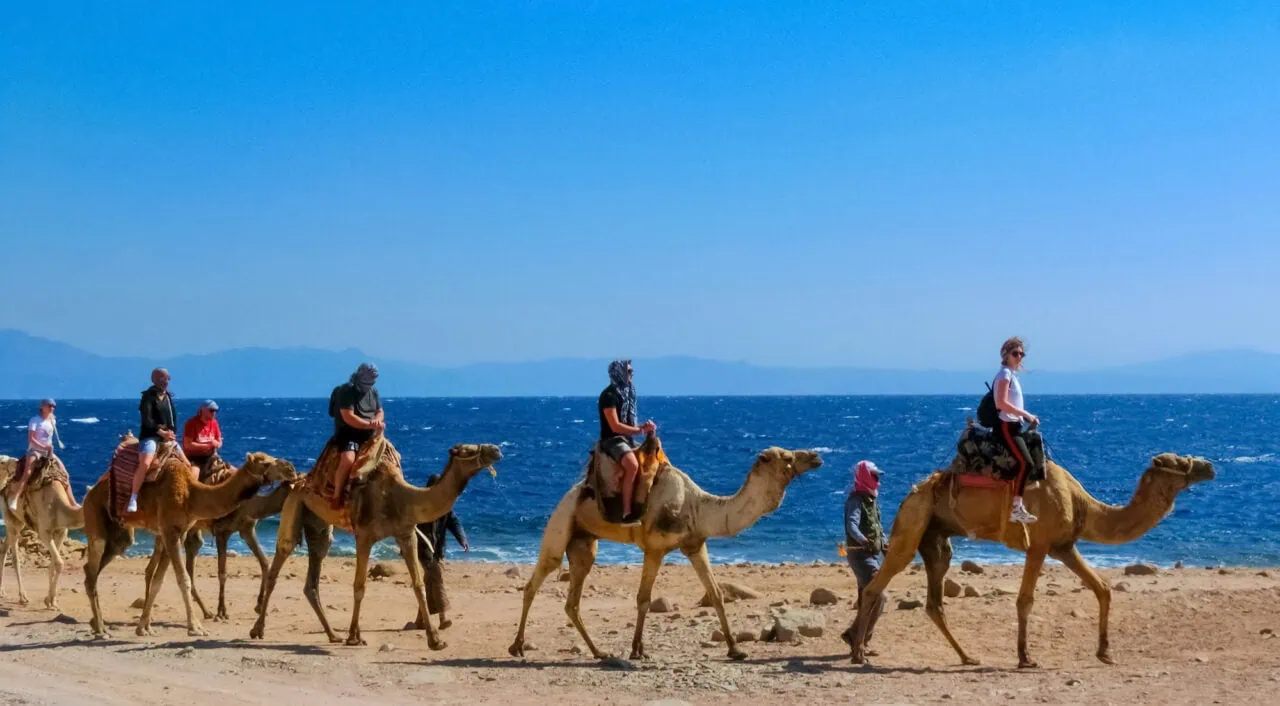 Sharm El Sheikh Egypt - February 17 2020: Tourist Rides