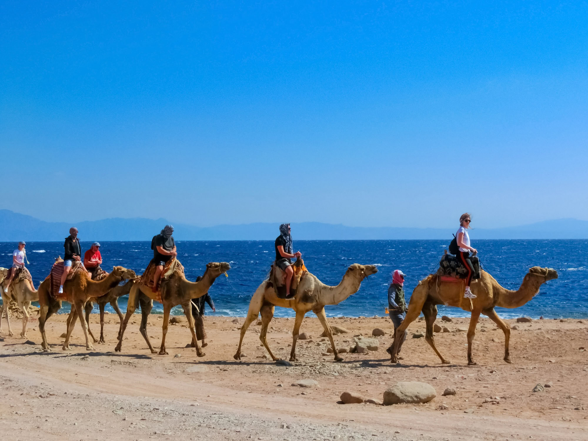 Sharm El Sheikh Egypt - February 17 2020: Tourist Rides