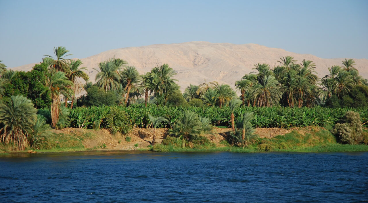 Serene views of the Nile