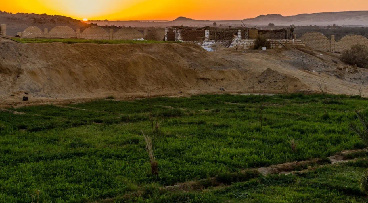 Bahariya Oasis