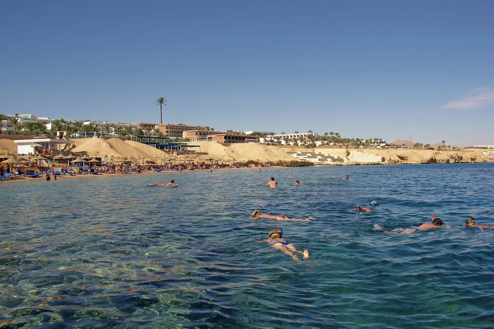 Snorkeling scene at Sharks Bay in Sharm El Sheikh with multiple people swimming in clear blue Red Sea water