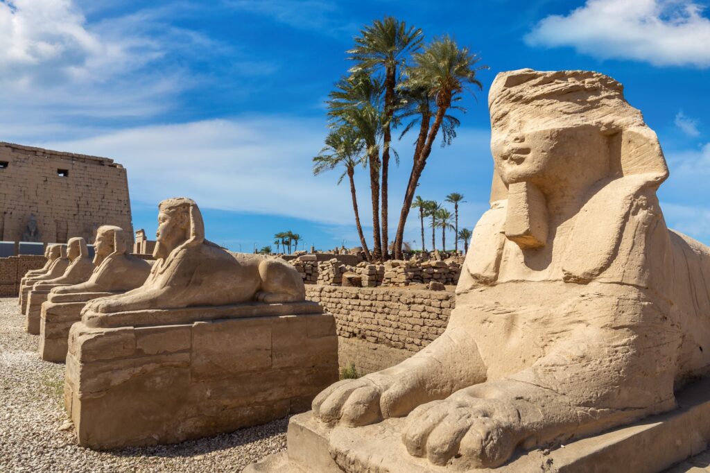 Sphinx Allee Avenue of the Sphinxes in a sunny day Luxor Egypt 1
