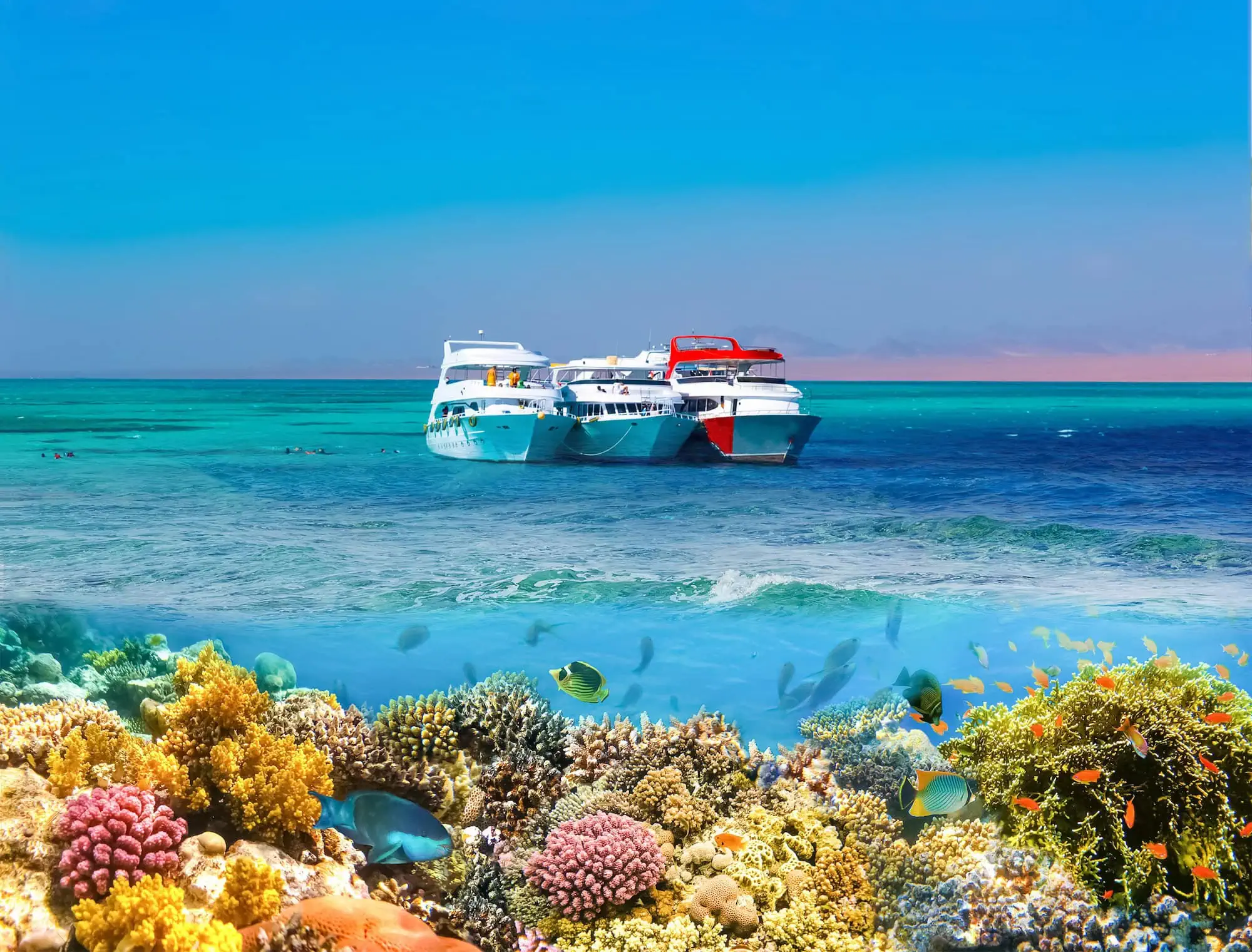 Tour boats anchored over vibrant coral reef with tropical fish for diving and snorkeling