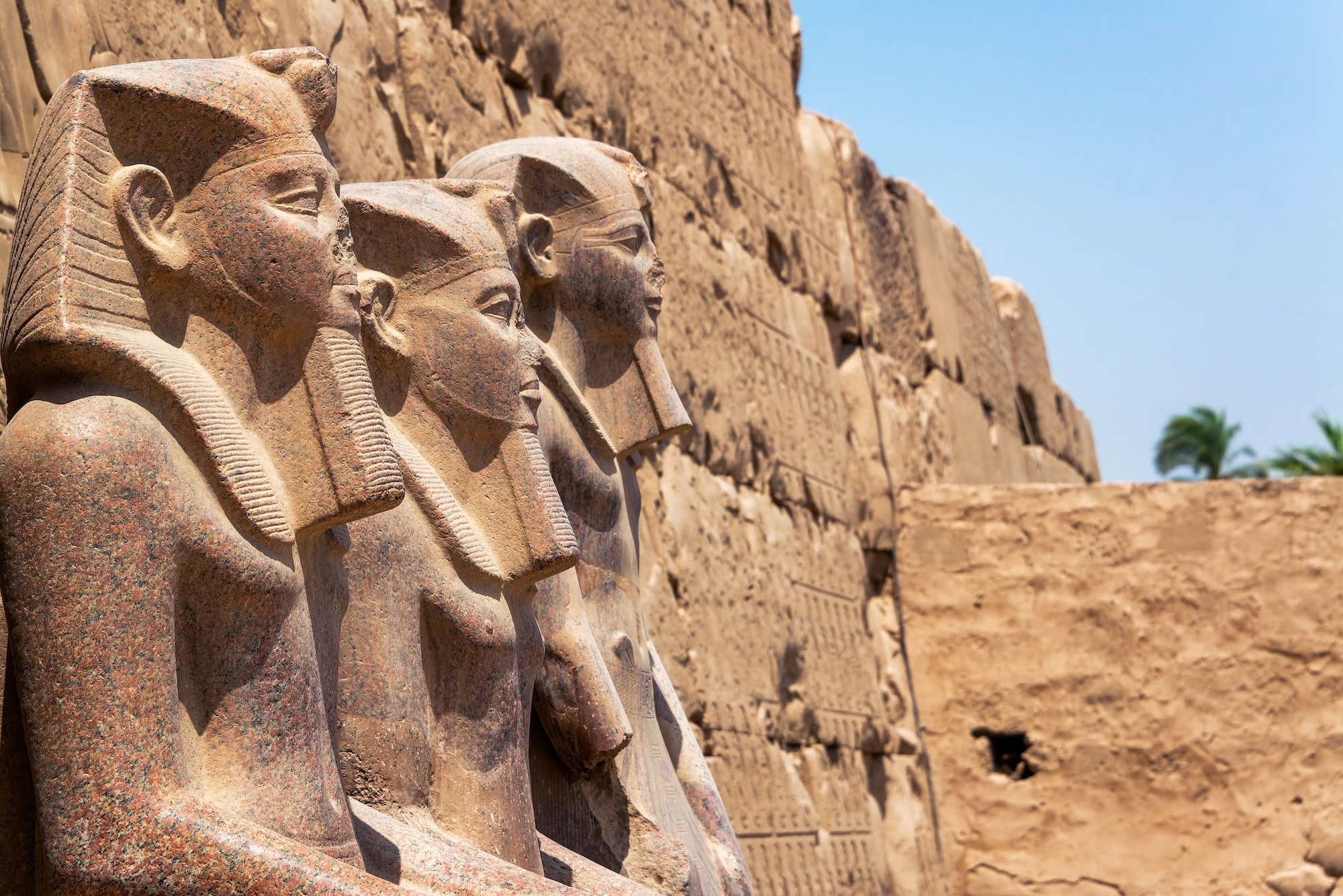 Egypt Tours from Jeddah