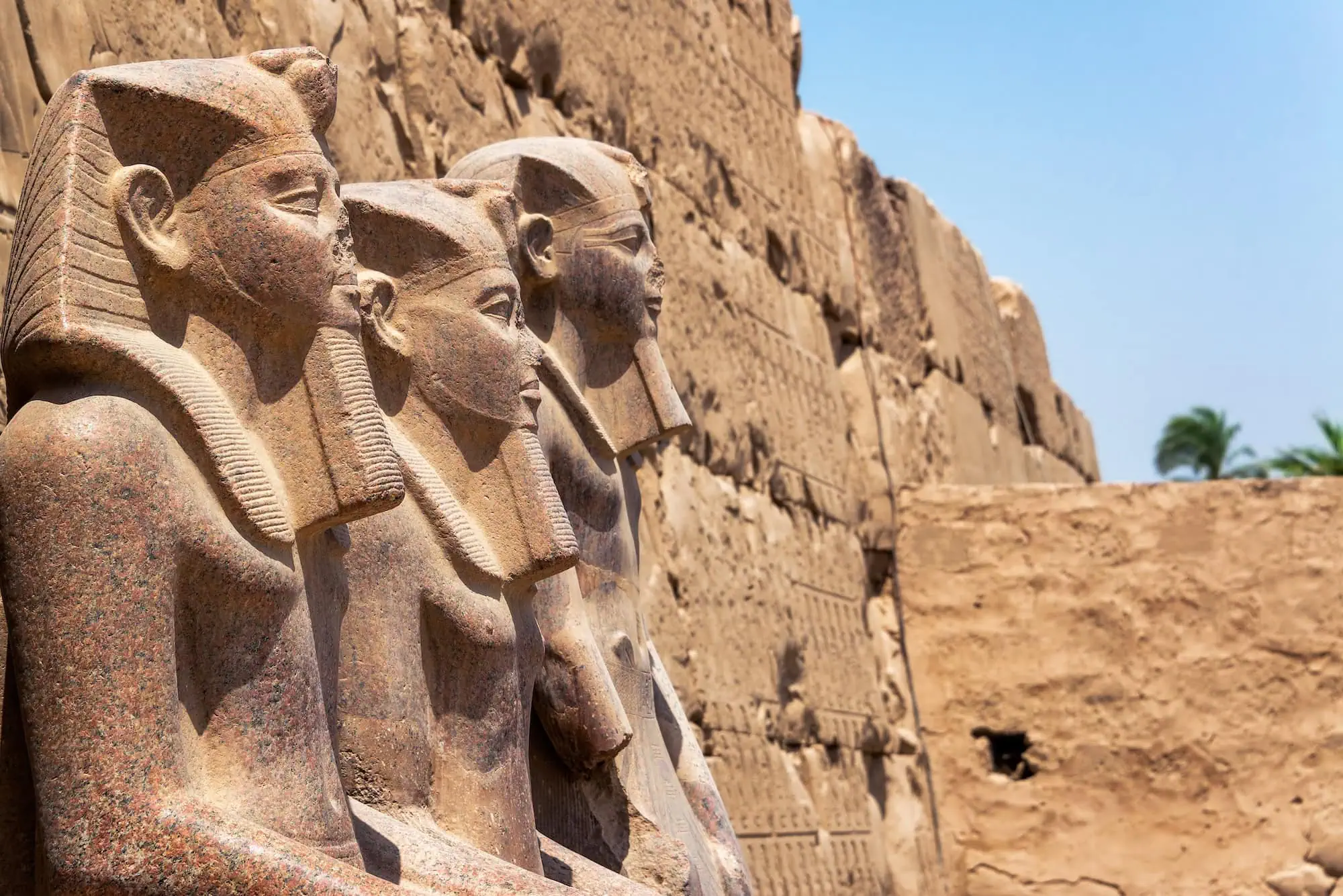 Egypt Tours from Jeddah