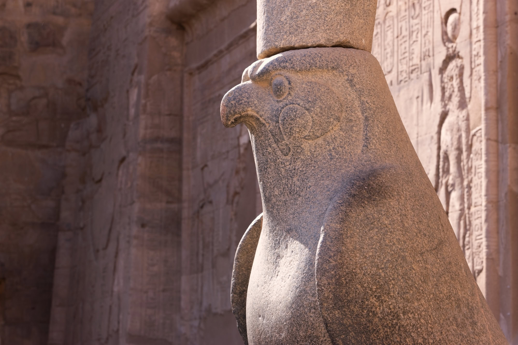 Ancient falcon statue of Horus god with hieroglyphs at Egyptian temple
