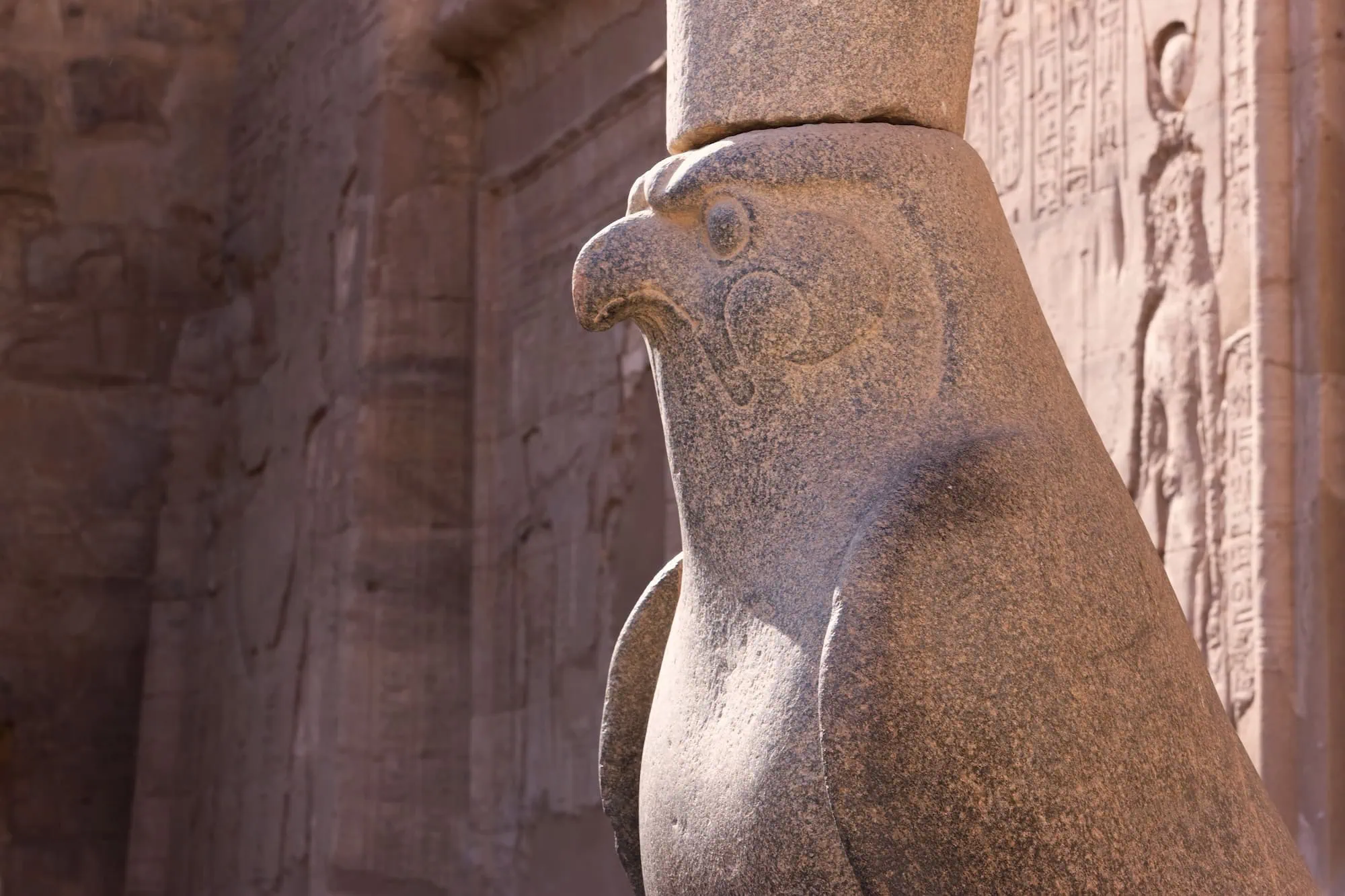 Ancient falcon statue of Horus god with hieroglyphs at Egyptian temple