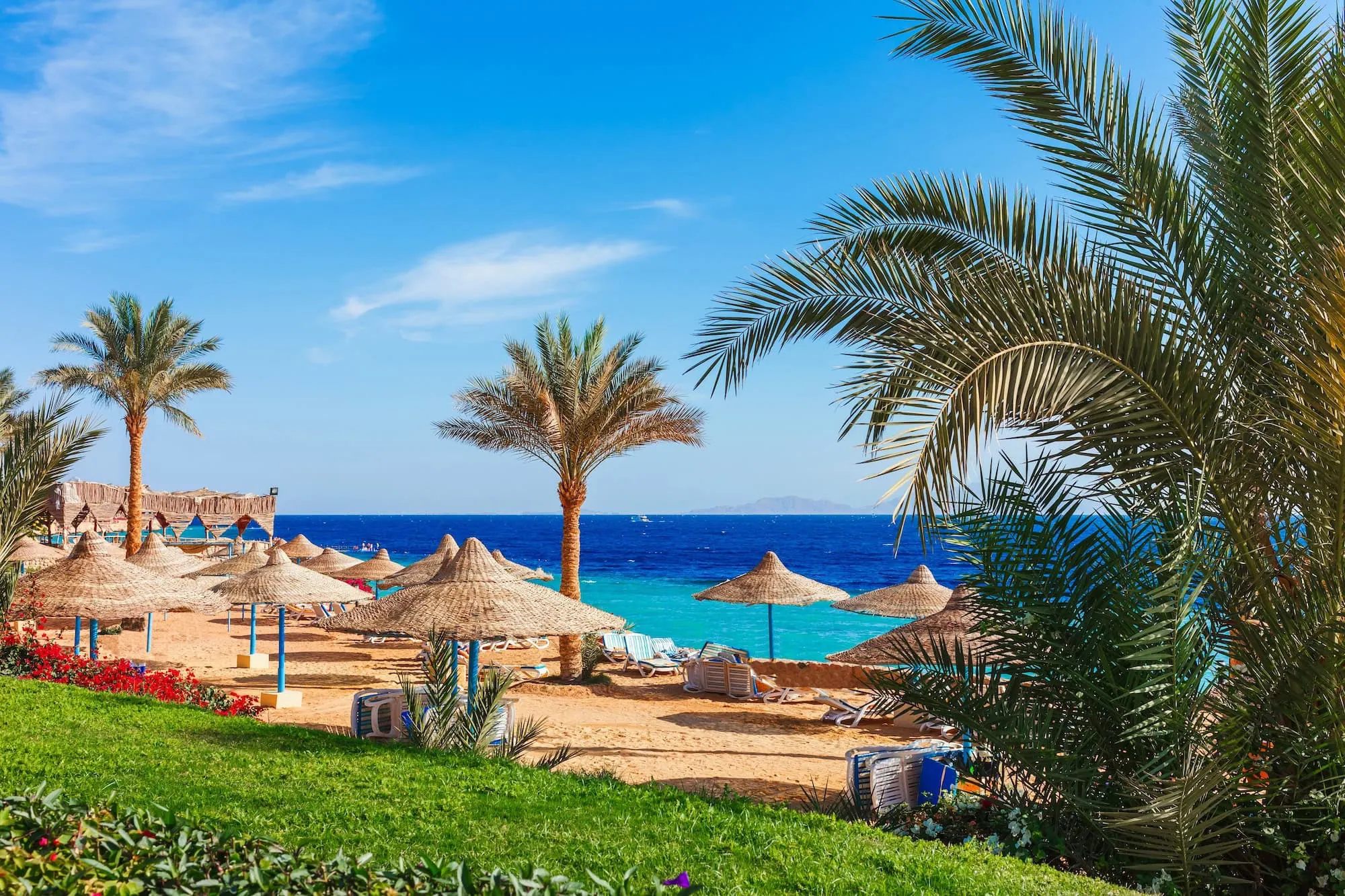 Red Sea beach resort with palm trees, umbrellas, and lounge chairs on sandy shoreline
