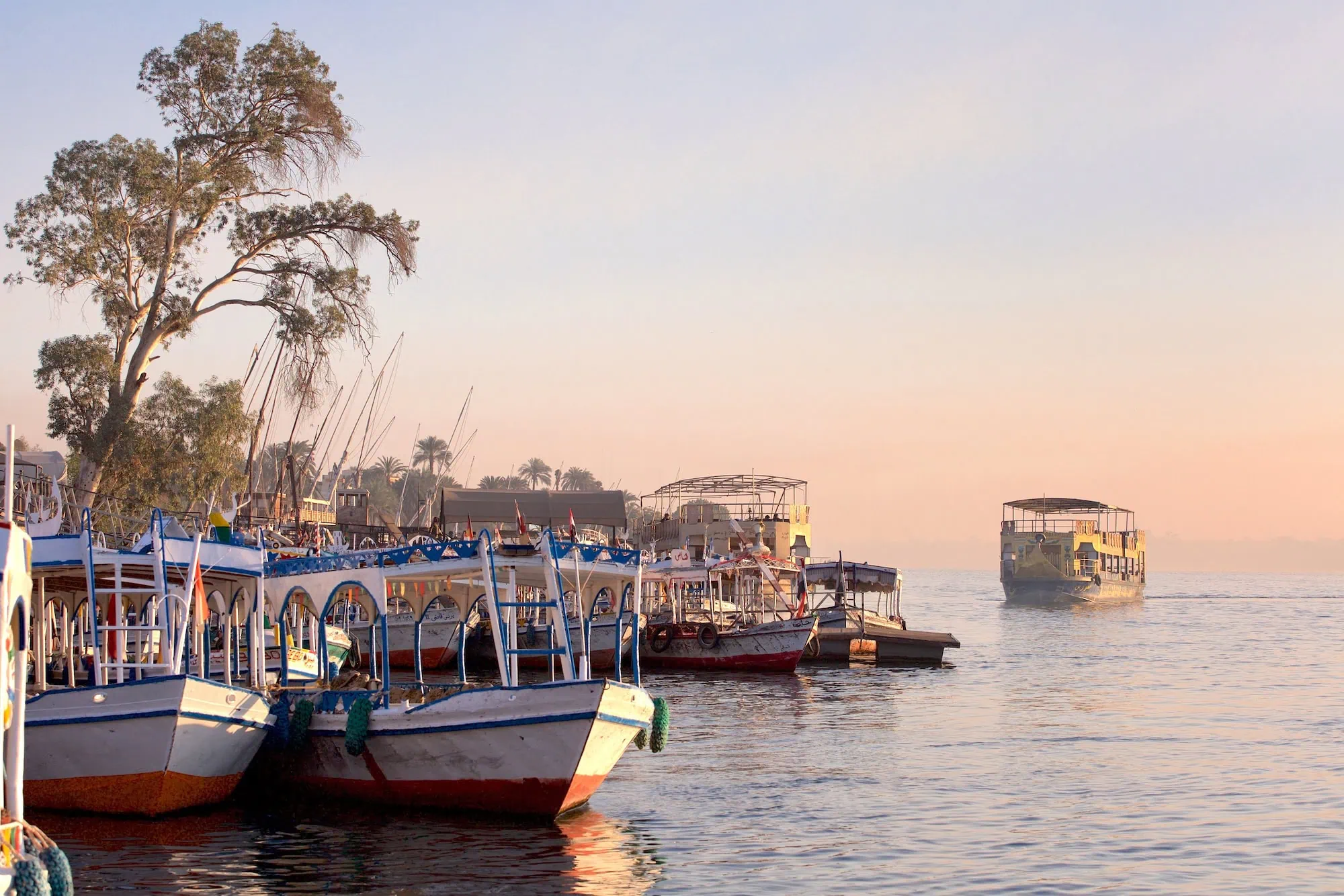 Egypt Tours from Austin