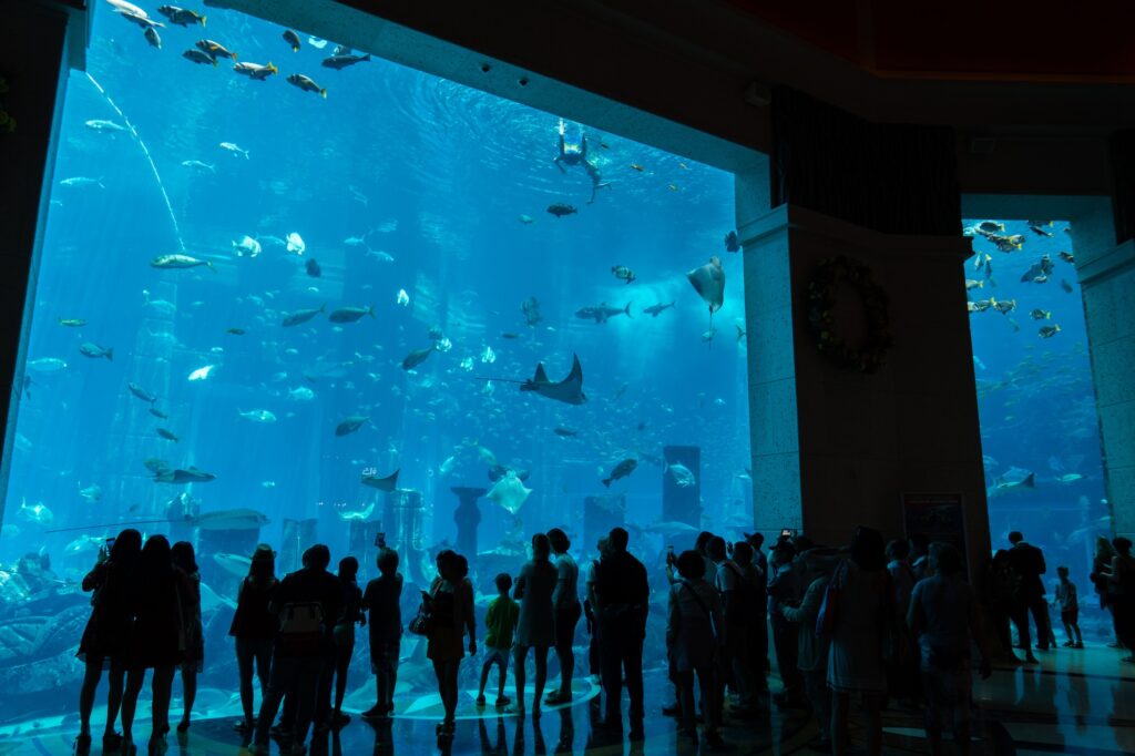 The Lost Chambers Aquarium at Altantis The Palm hotel in Dubai