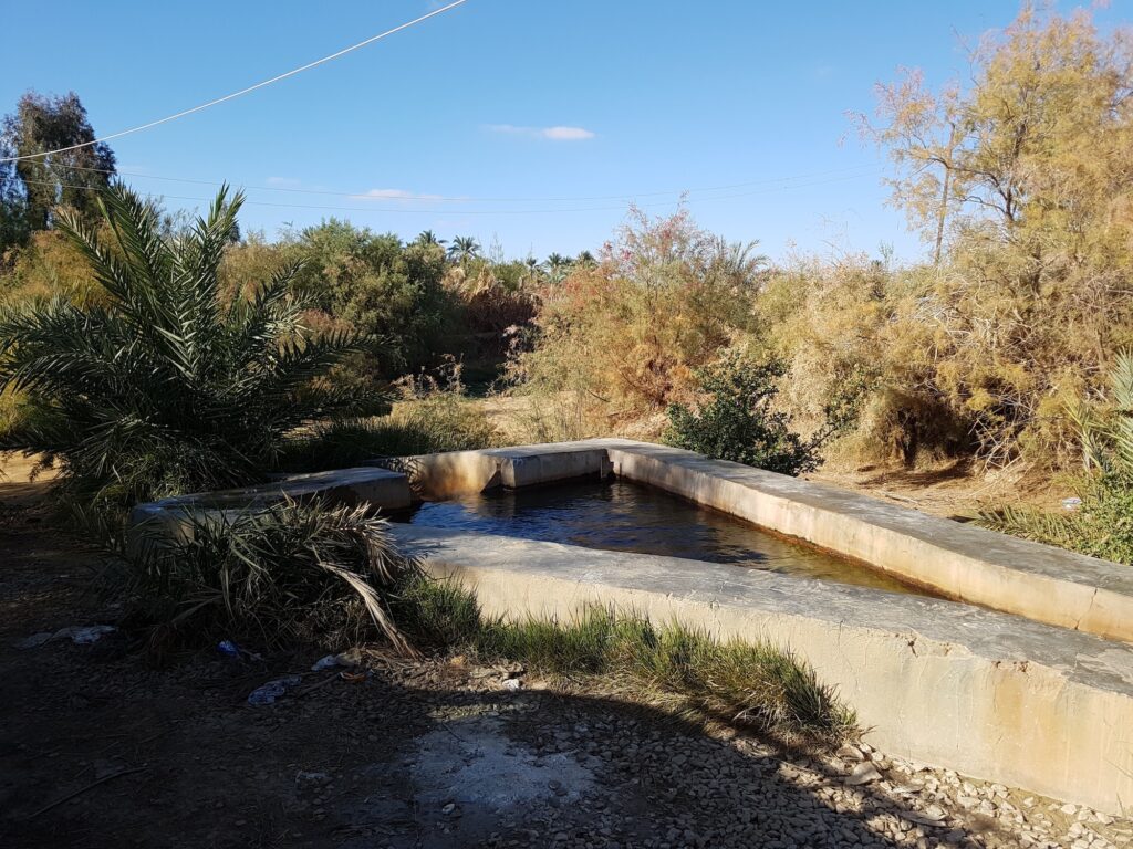 Bahariya Oasis hot springs with palm groves, mineral pools, and desert terrain, Bahariya