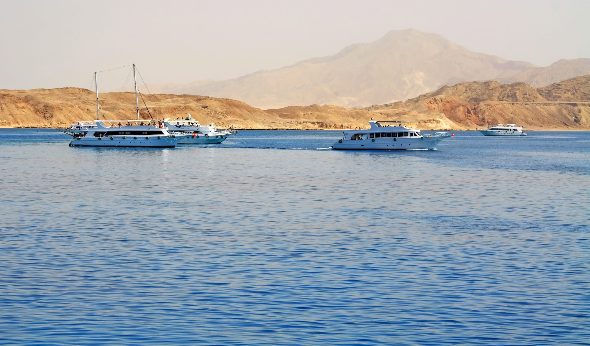 Tiran Island In Egypt