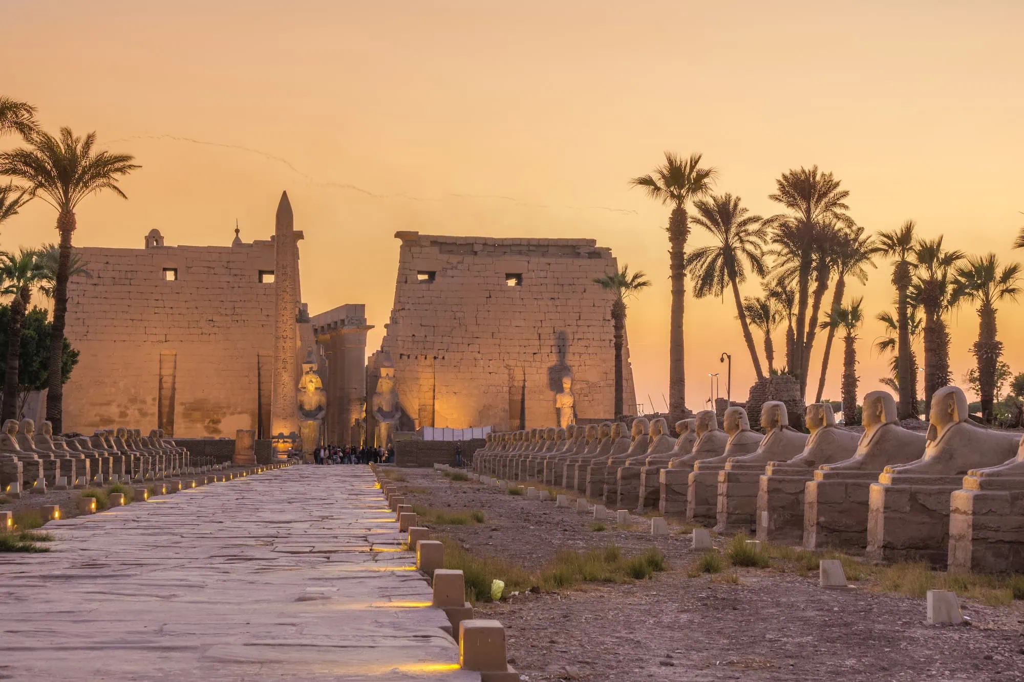 Ancient Luxor Temple illuminated at night with sphinx statues lining the entrance pathway