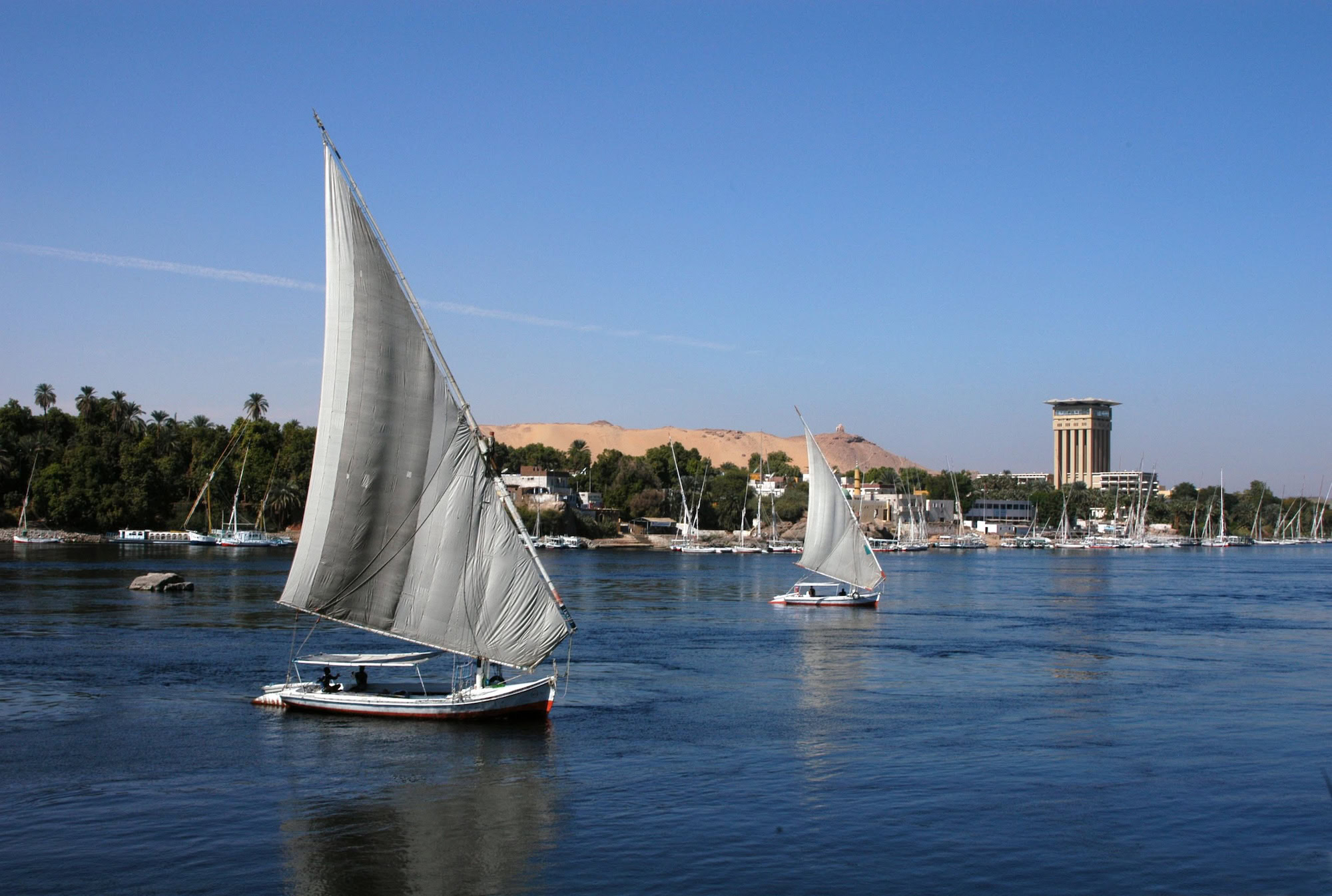 Traditional Egyptian felucca sailing boats with white sails on the River Nile at sunset