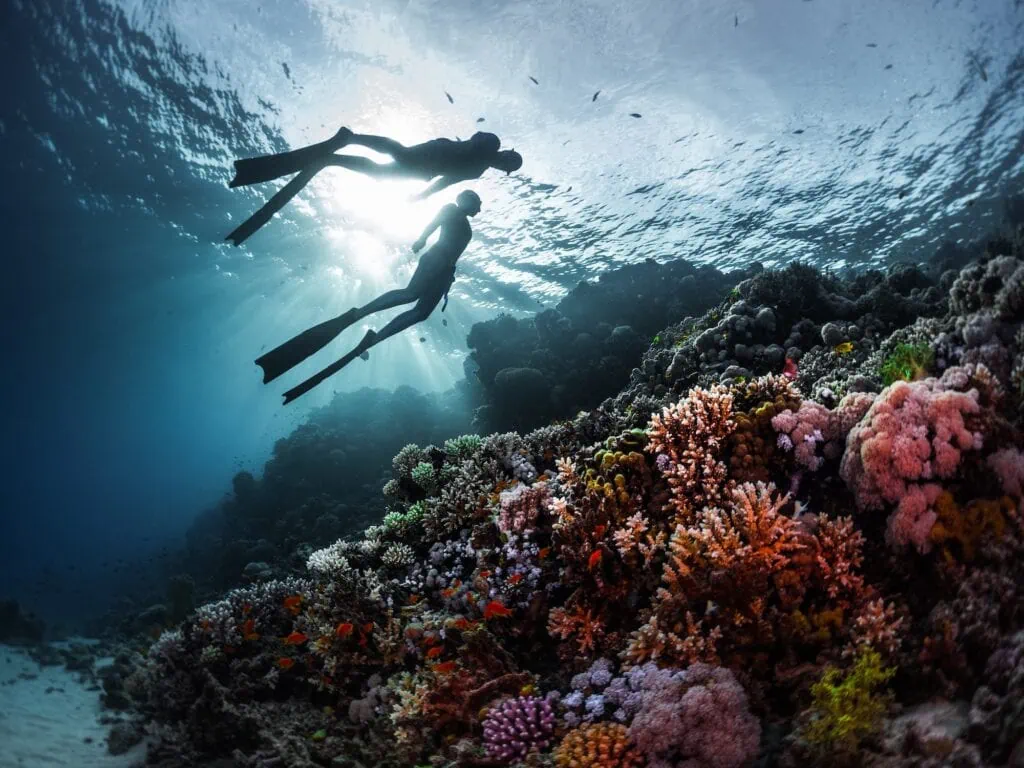 Underwater view of two freedivers swimming above a colorful coral reef
