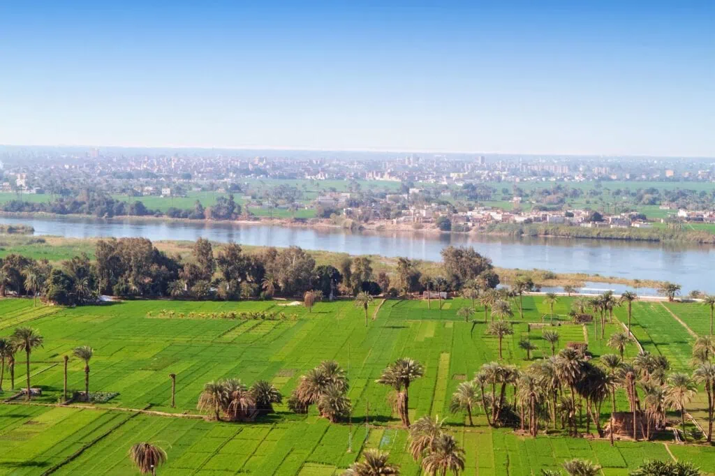 Agricultural fields with palm trees and irrigation canals in the Middle Egypt region, El Minya