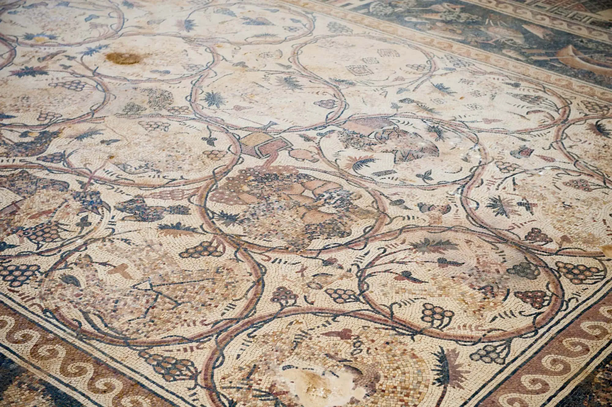 Ancient mosaic floor in Saint Stephen Church showing intricate geometric patterns and animal motifs