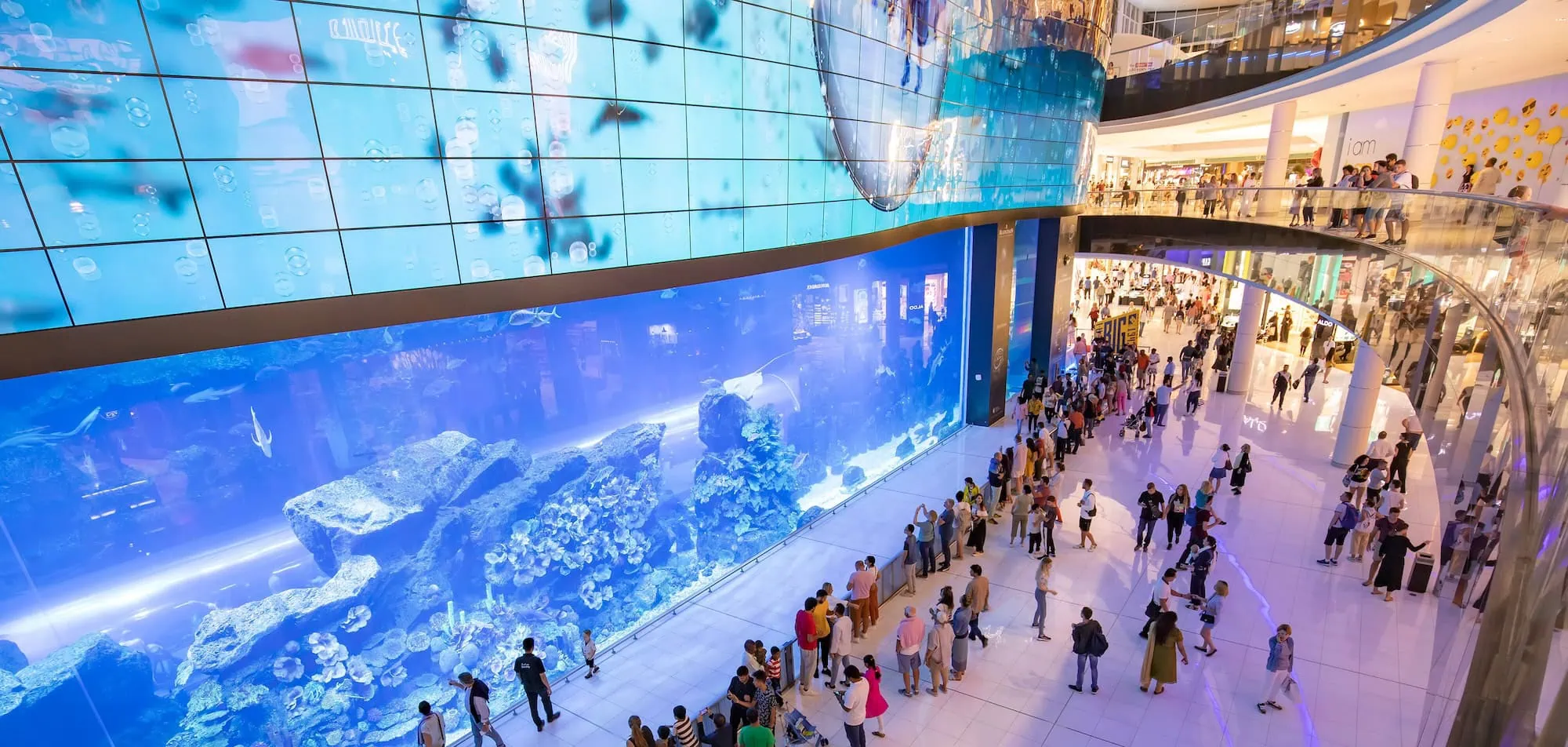 Aquário gigante do Dubai Mall com peixes coloridos e multidão observando