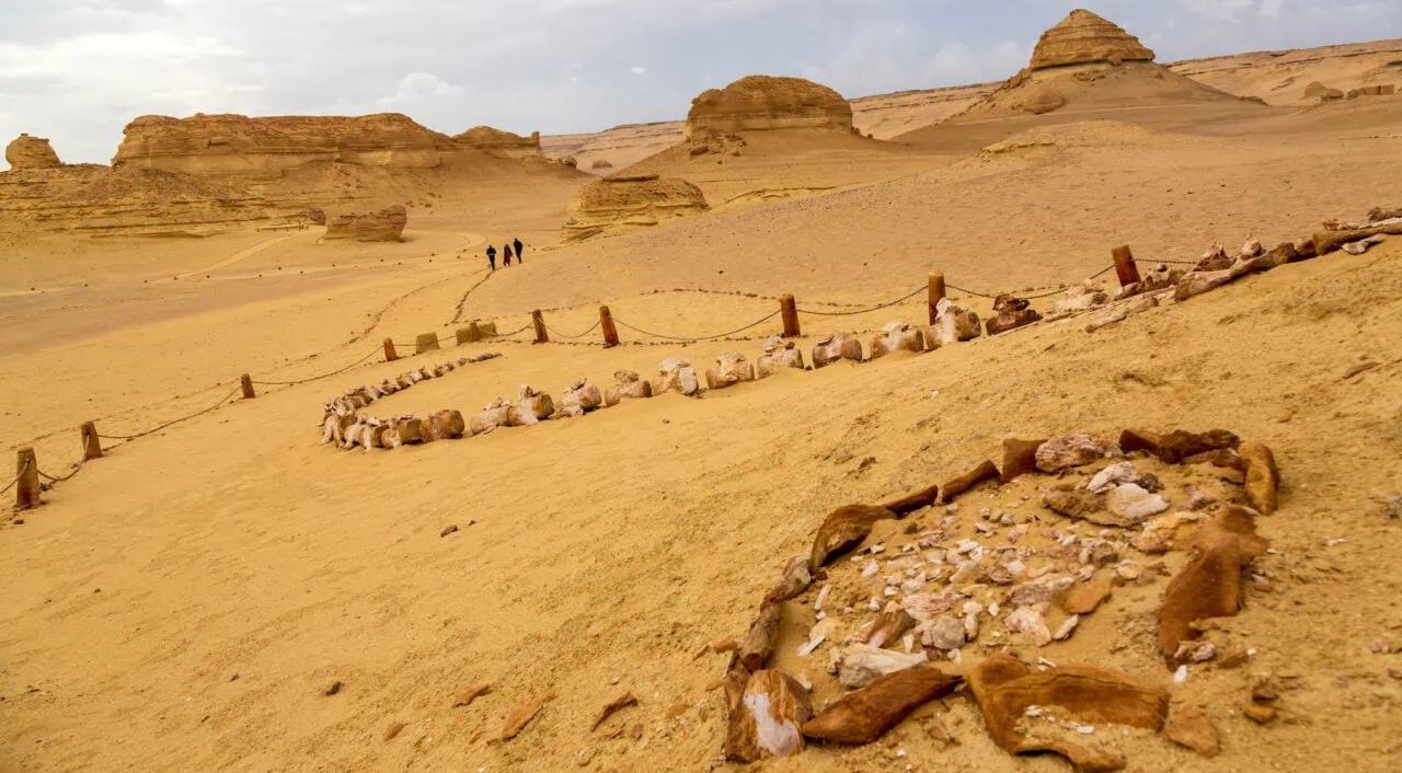 Valley of the Whales (Wadi Al-Hitan), Fayoum